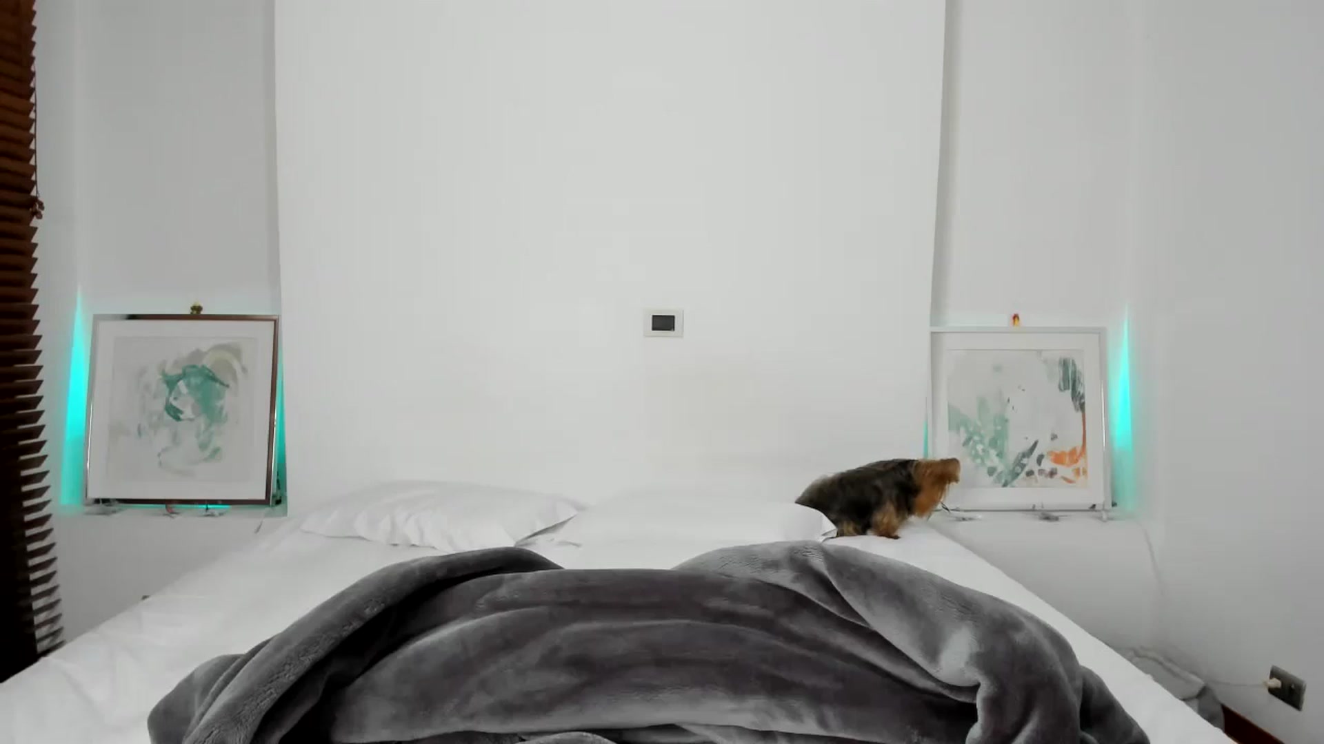 Gallery image thumbnail from EMILIANA_CRUZ's myfreecams stream on, 07/06/2024, 02:05 image 7 of 20