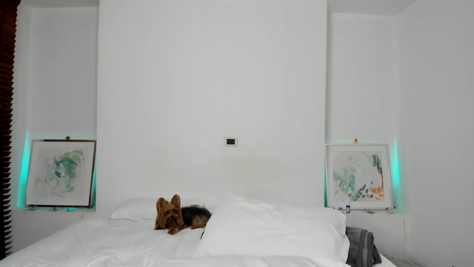 Gallery image thumbnail from EMILIANA_CRUZ's myfreecams stream on, 07/08/2024, 02:57 image 18 of 20