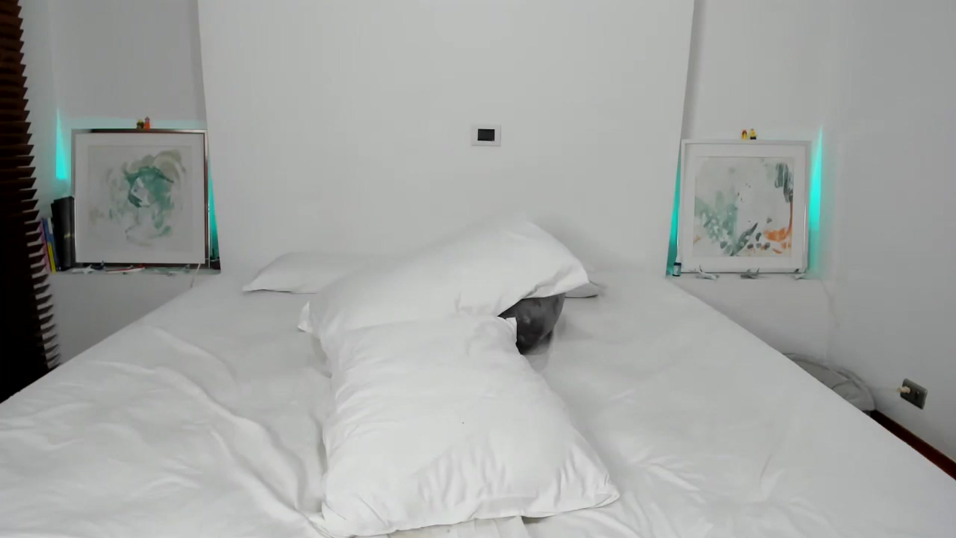 Gallery image thumbnail from EMILIANA_CRUZ's myfreecams stream on, 07/24/2024, 24:01 image 19 of 20