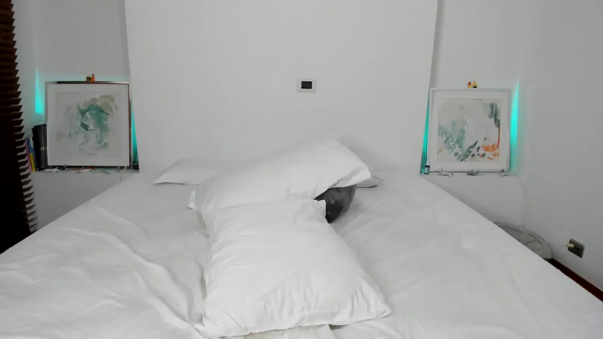Gallery image thumbnail from EMILIANA_CRUZ's myfreecams stream on, 07/24/2024, 24:01 image 20 of 20