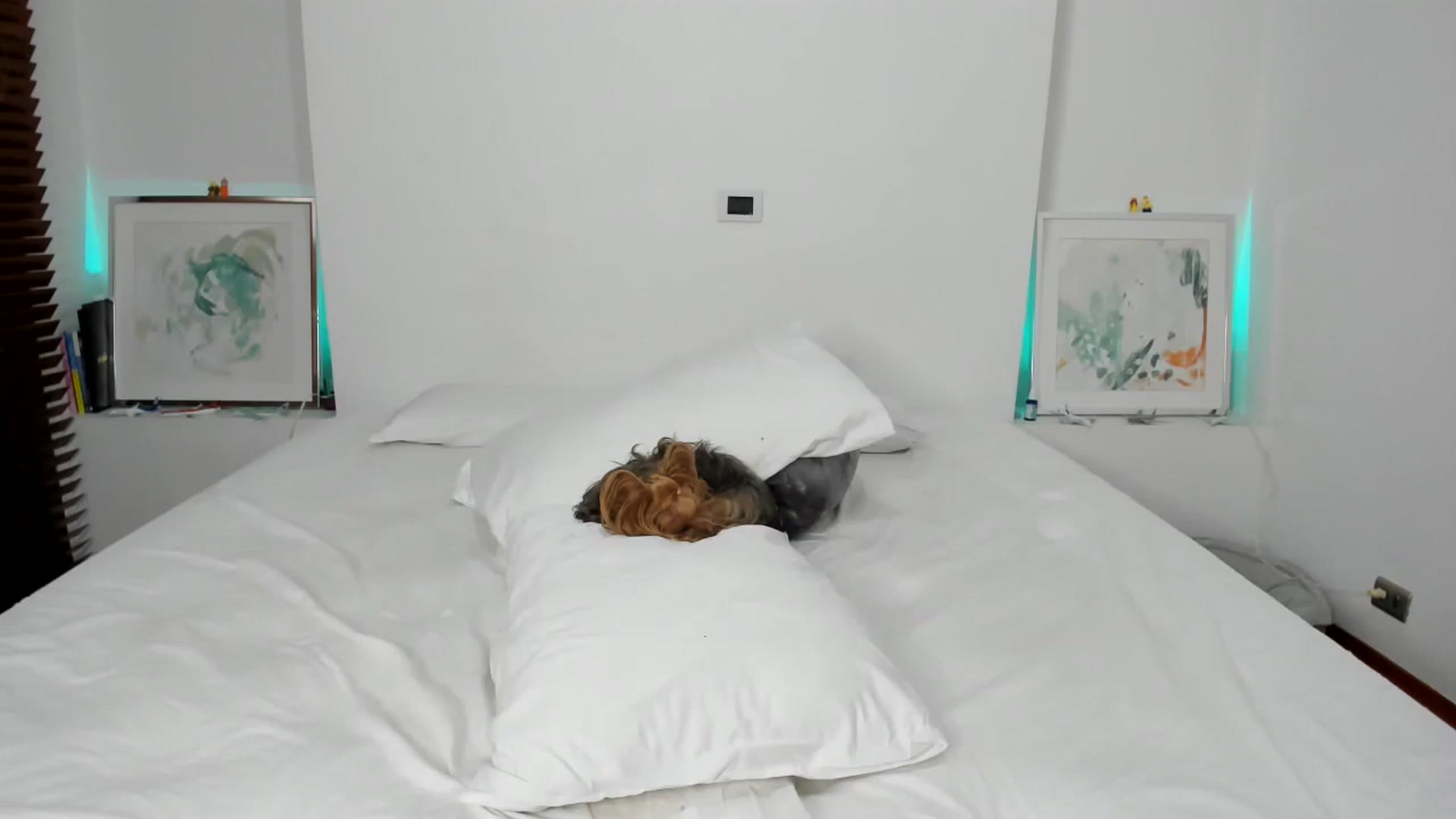 Gallery image thumbnail from EMILIANA_CRUZ's myfreecams stream on, 07/24/2024, 02:18 image 20 of 20