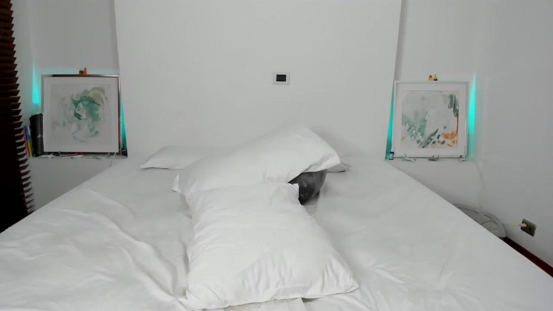 Gallery image thumbnail from EMILIANA_CRUZ's myfreecams stream on, 07/24/2024, 02:18 image 19 of 20
