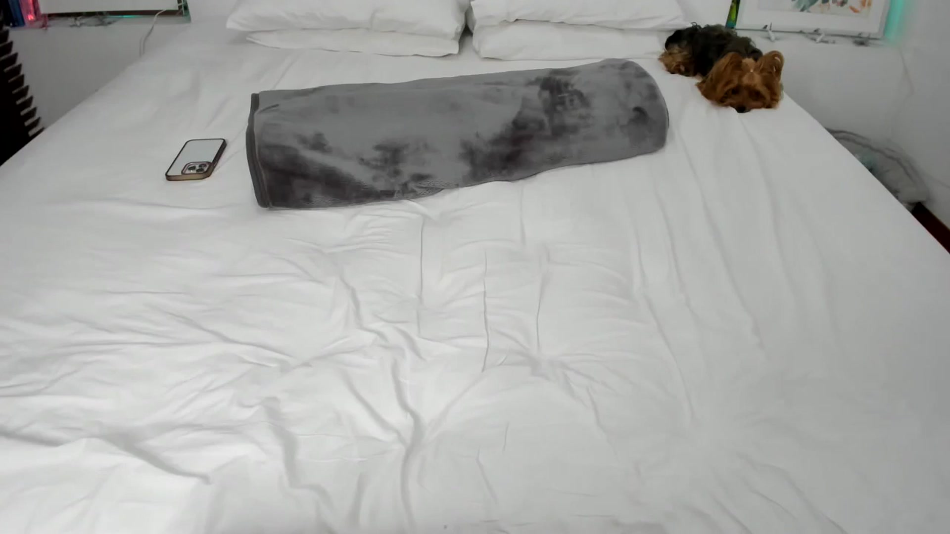 Gallery image thumbnail from EMILIANA_CRUZ's myfreecams stream on, 08/01/2024, 01:29 image 19 of 20
