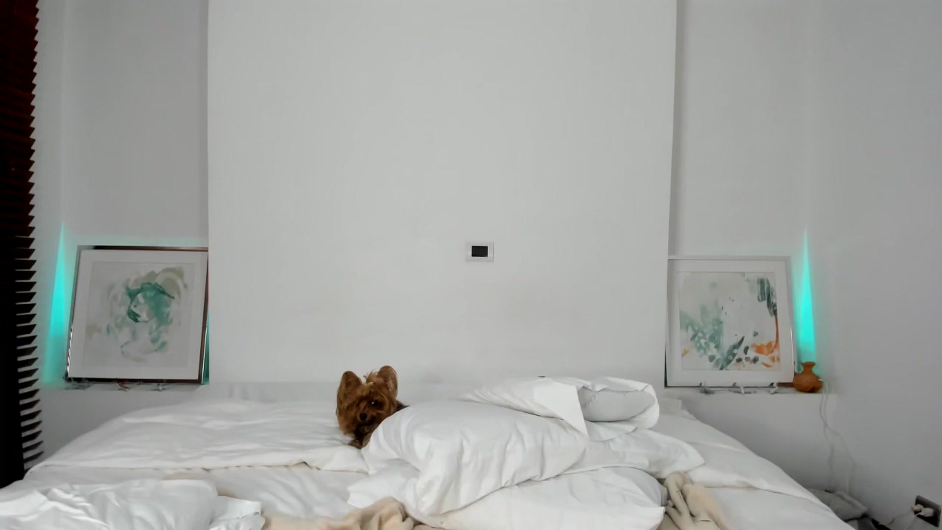Gallery image thumbnail from EMILIANA_CRUZ's myfreecams stream on, 11/27/2024, 06:13 image 1 of 20
