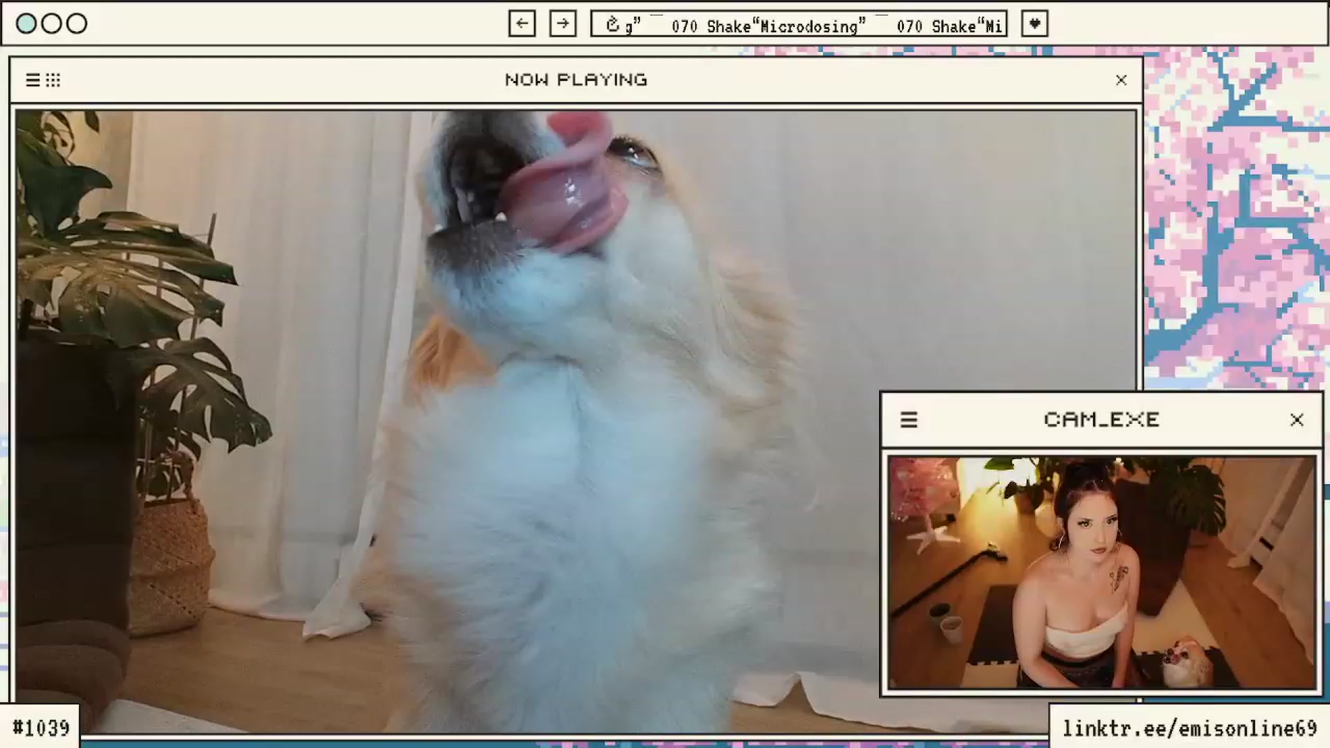 Gallery image thumbnail from EMMEL1NE's myfreecams stream on, 11/21/2023, 02:19 image 18 of 20
