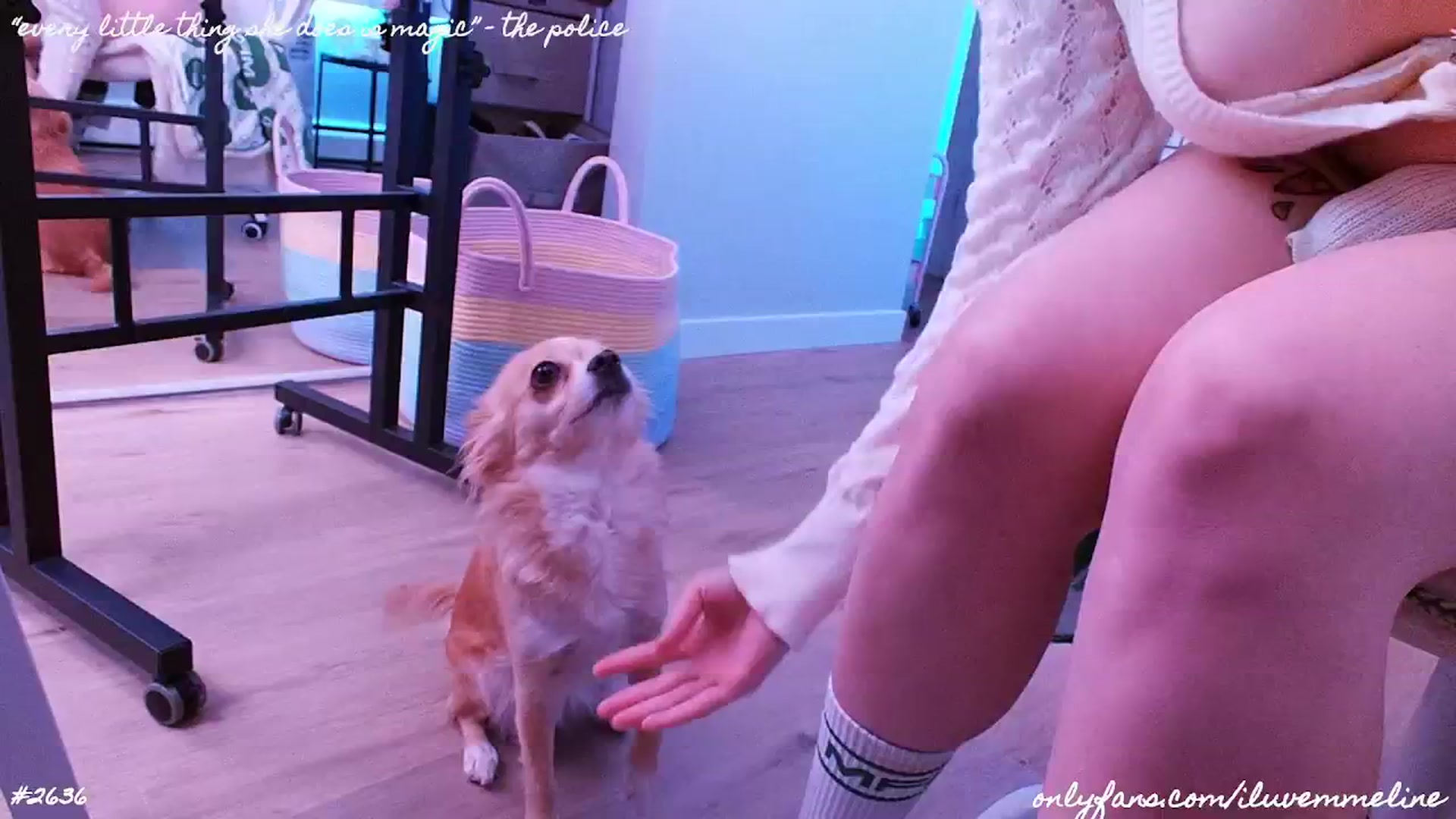 Gallery image thumbnail from EMMEL1NE's myfreecams stream on, 06/20/2024, 03:23 image 2 of 20