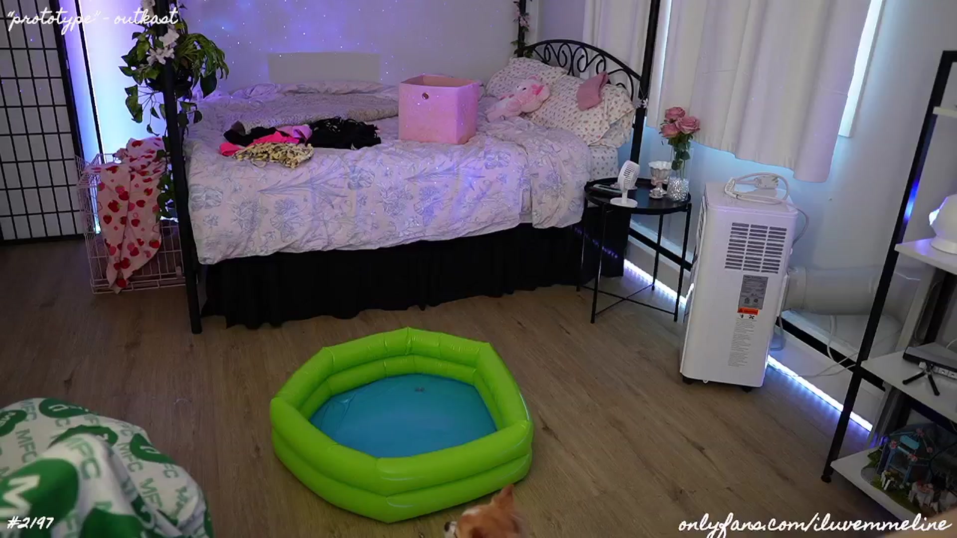 Gallery image thumbnail from EMMEL1NE's myfreecams stream on, 06/22/2024, 05:31 image 3 of 20