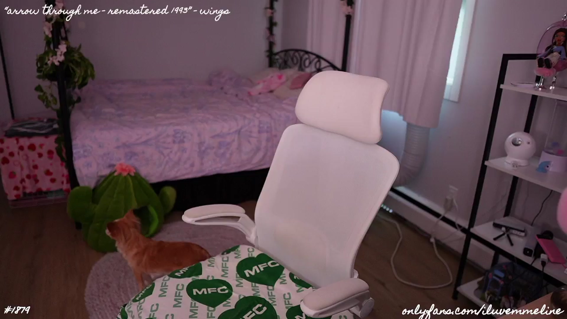 Gallery image thumbnail from EMMEL1NE's myfreecams stream on, 06/26/2024, 02:59 image 2 of 20