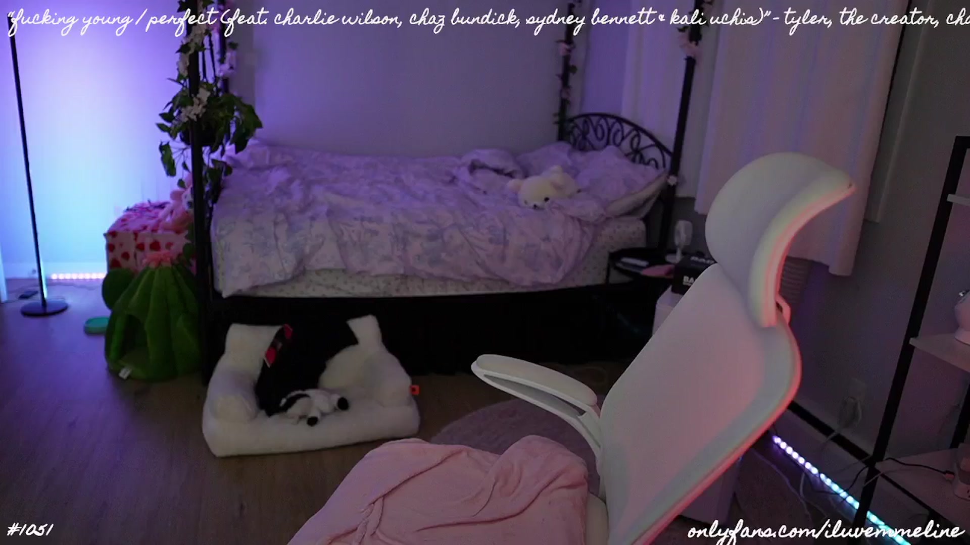 Gallery image thumbnail from EMMEL1NE's myfreecams stream on, 07/12/2024, 06:32 image 7 of 20