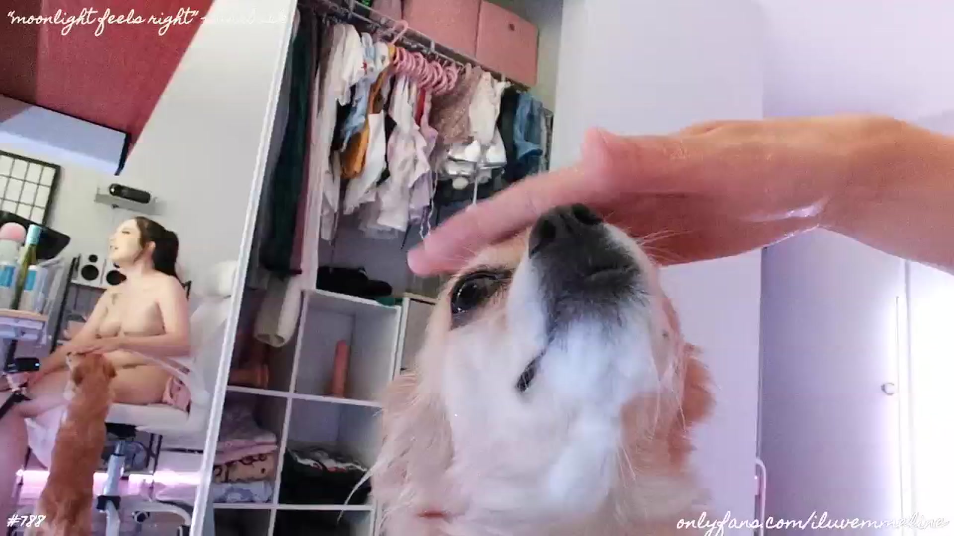 Gallery image thumbnail from EMMEL1NE's myfreecams stream on, 07/14/2024, 06:04 image 8 of 20