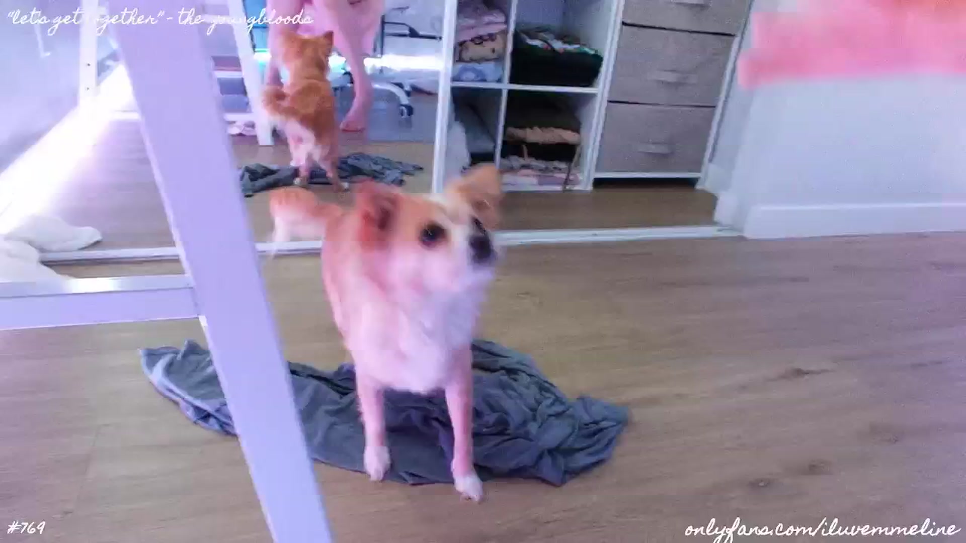 Gallery image thumbnail from EMMEL1NE's myfreecams stream on, 07/14/2024, 06:04 image 11 of 20