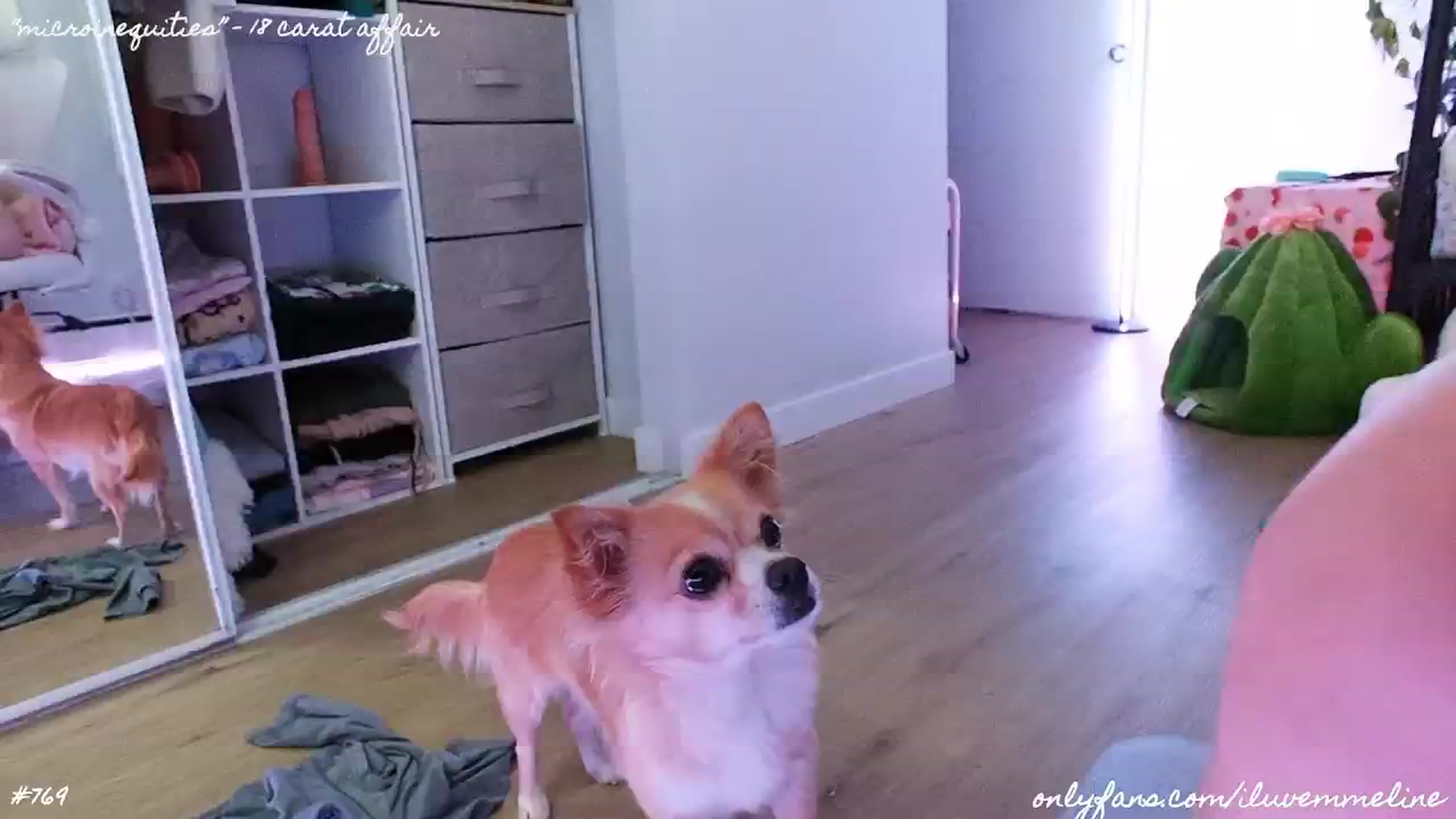 Gallery image thumbnail from EMMEL1NE's myfreecams stream on, 07/14/2024, 06:04 image 12 of 20