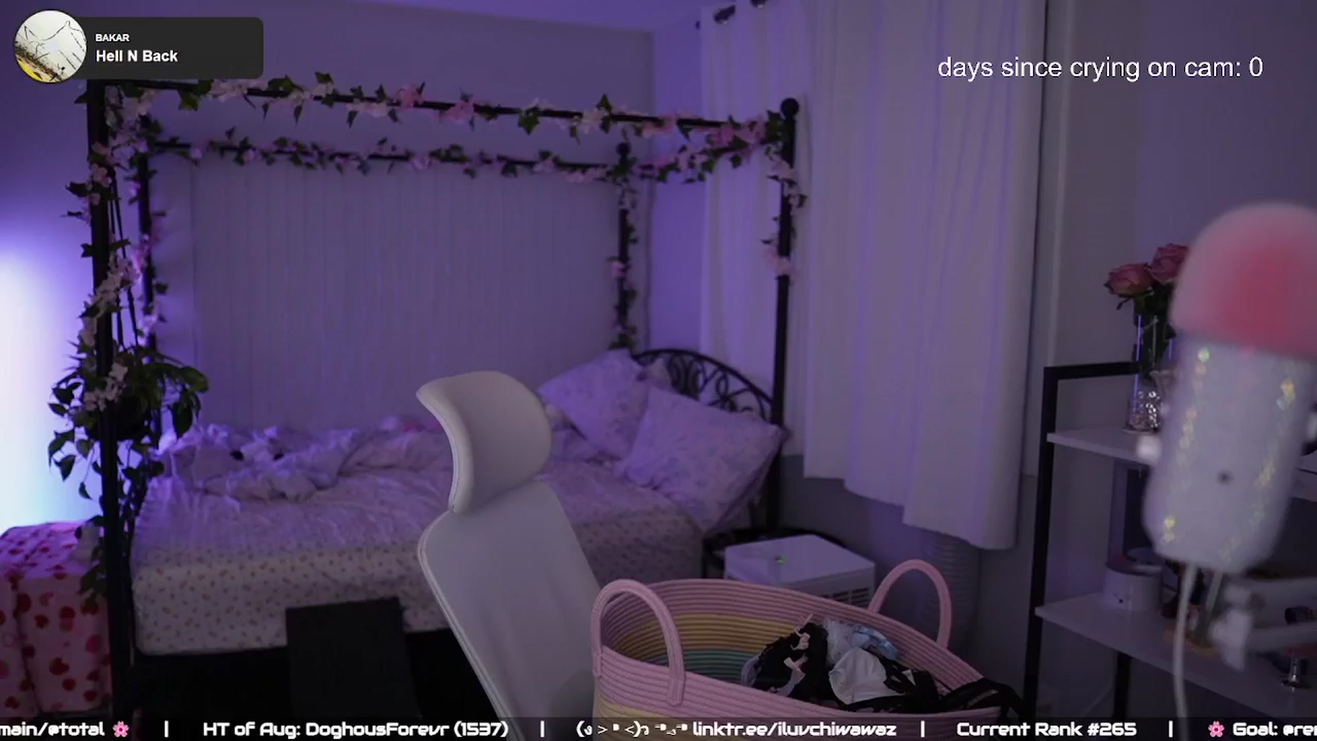 Gallery image thumbnail from EMMEL1NE's myfreecams stream on, 08/09/2024, 03:38 image 2 of 20