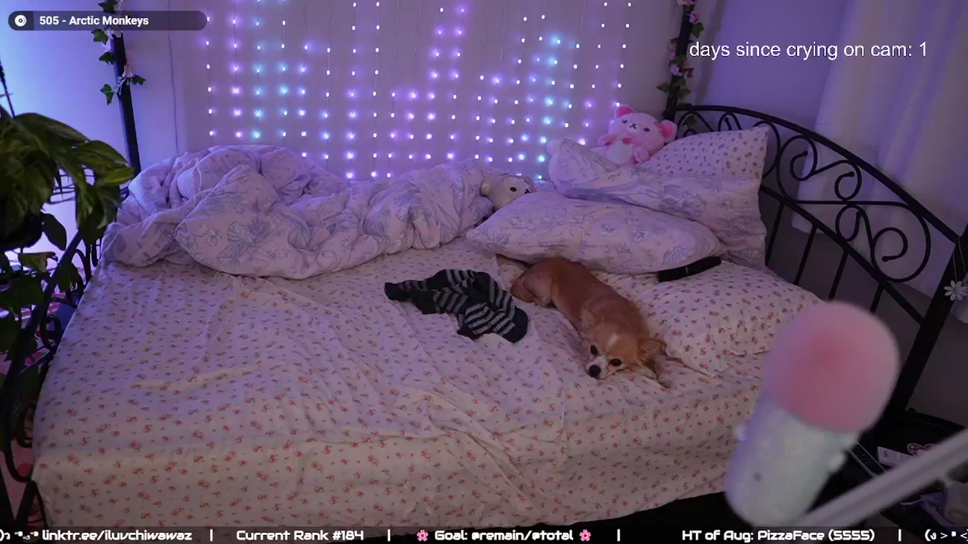 Gallery image thumbnail from EMMEL1NE's myfreecams stream on, 08/10/2024, 05:05 image 20 of 20