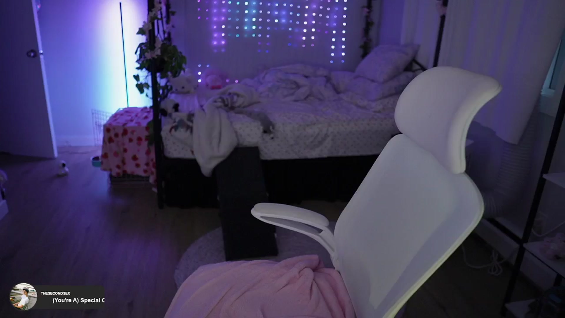 Gallery image thumbnail from EMMEL1NE's myfreecams stream on, 08/18/2024, 04:05 image 10 of 20