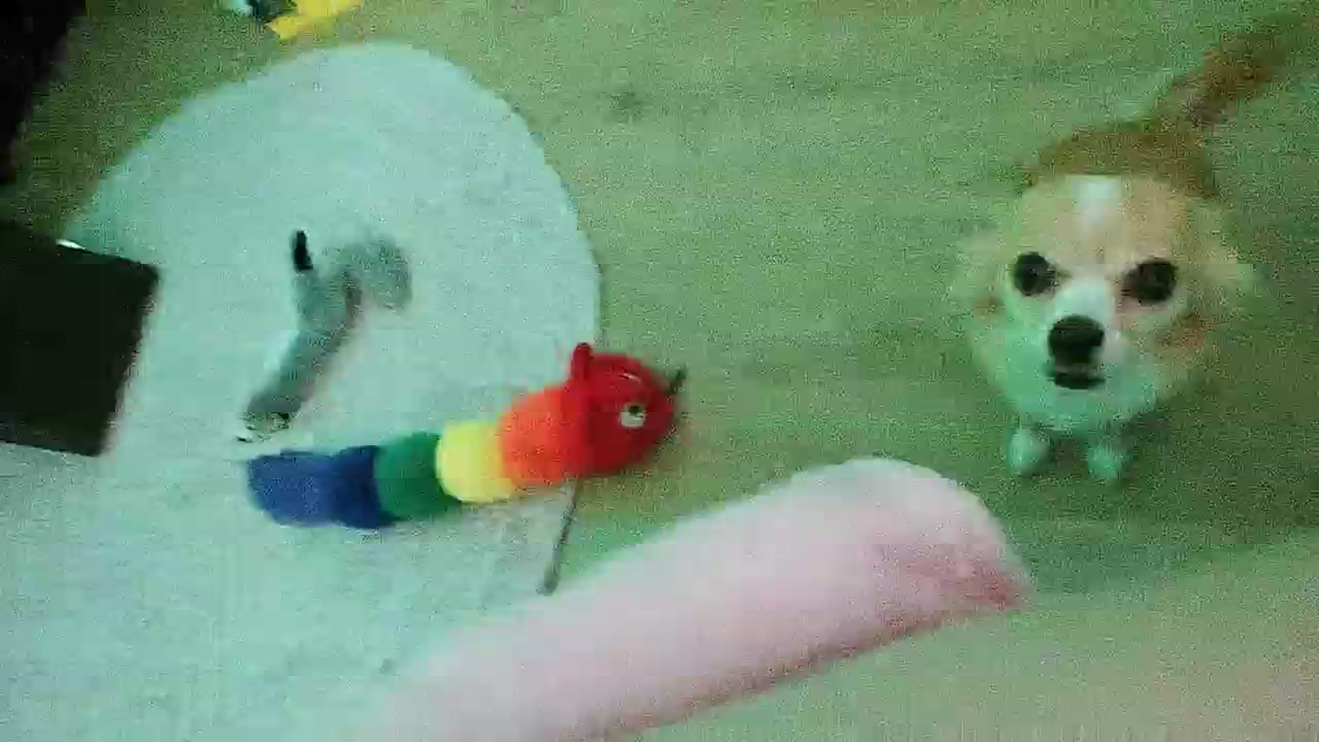 Gallery image thumbnail from EMMEL1NE's myfreecams stream on, 08/18/2024, 08:02 image 6 of 20