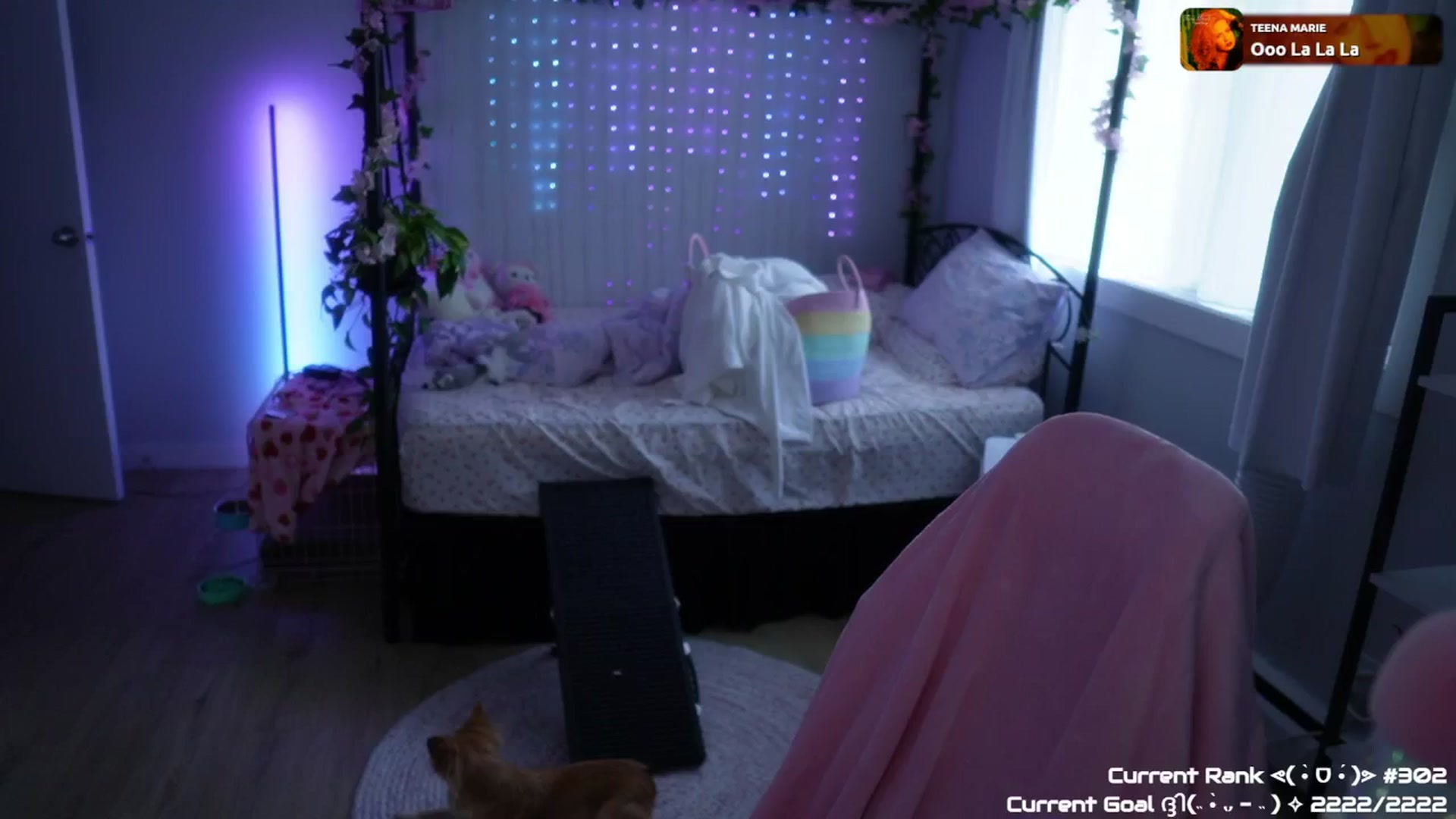 Gallery image thumbnail from EMMEL1NE's myfreecams stream on, 08/21/2024, 01:09 image 13 of 20