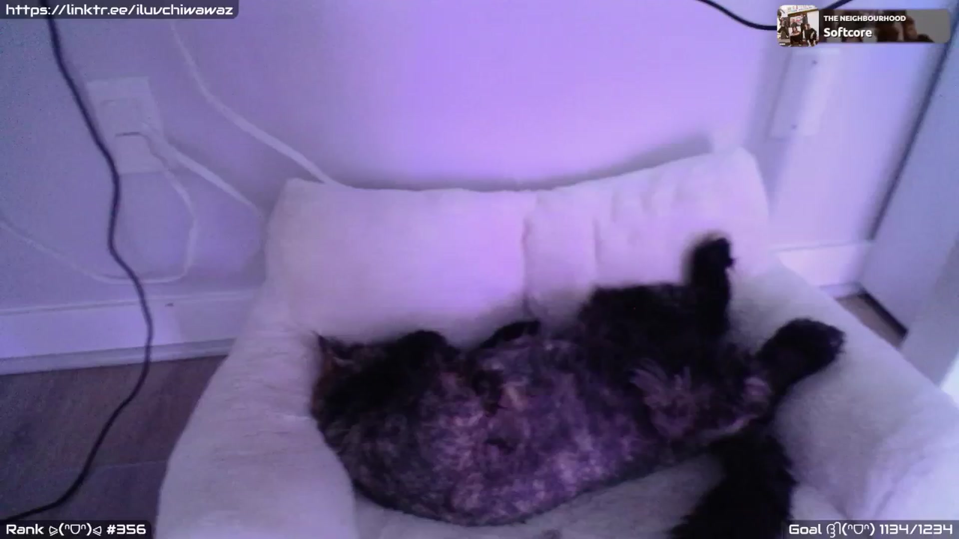 Gallery image thumbnail from EMMEL1NE's myfreecams stream on, 08/29/2024, 07:16 image 14 of 20