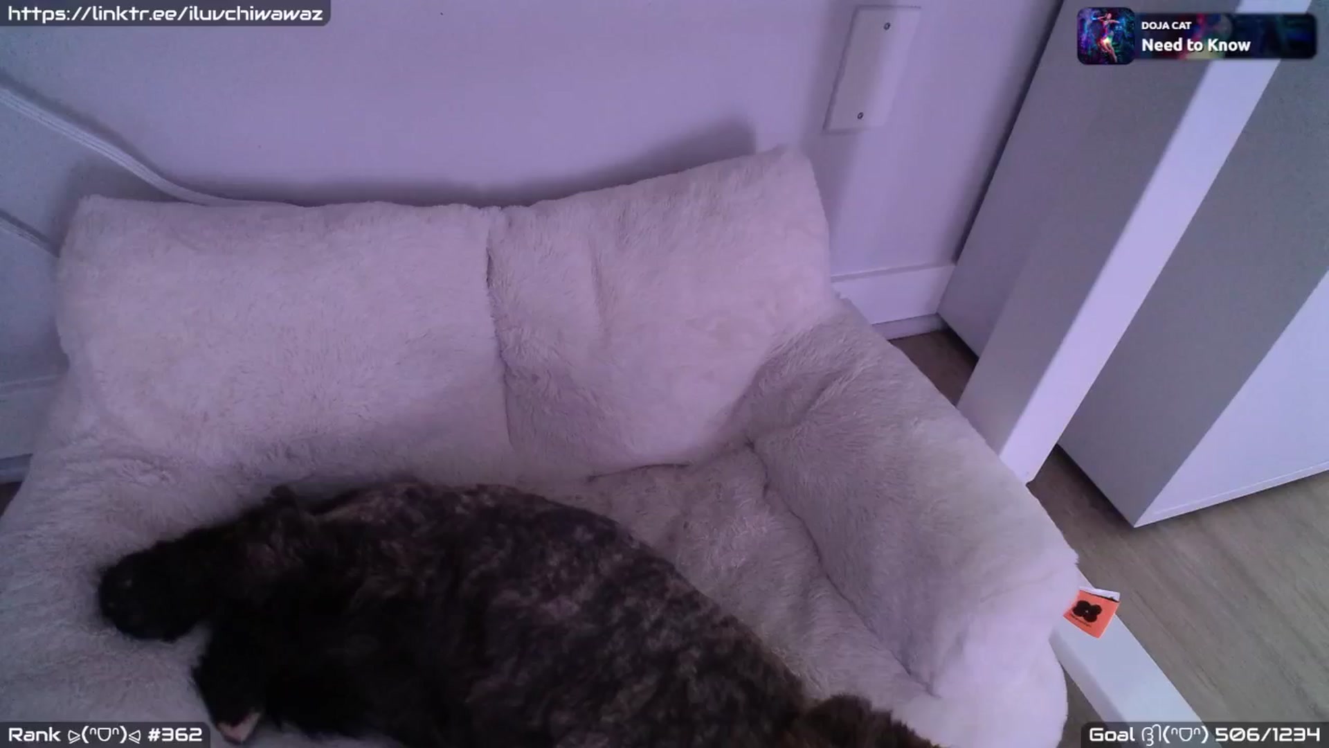 Gallery image thumbnail from EMMEL1NE's myfreecams stream on, 08/30/2024, 06:40 image 12 of 20