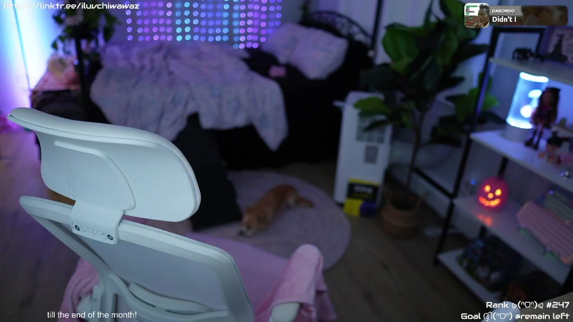 Gallery image thumbnail from EMMEL1NE's myfreecams stream on, 09/01/2024, 09:04 image 5 of 20