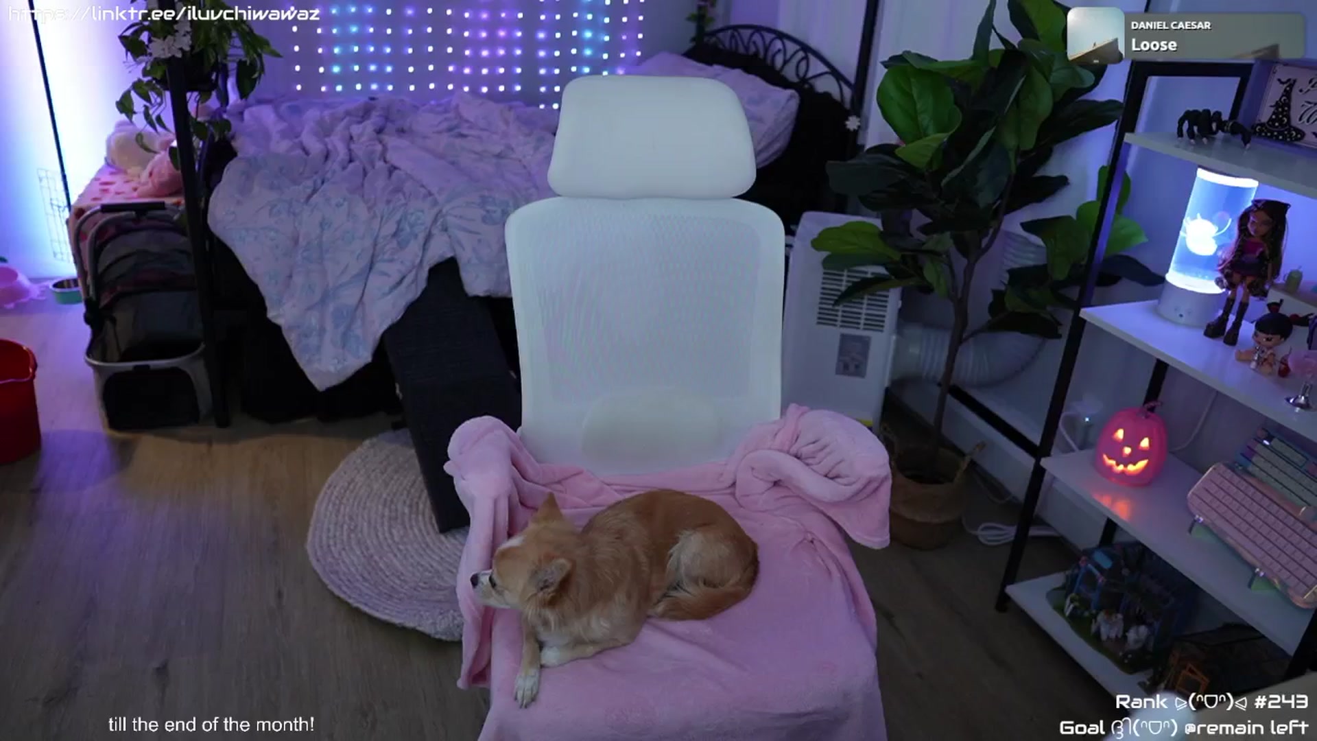 Gallery image thumbnail from EMMEL1NE's myfreecams stream on, 09/01/2024, 09:04 image 2 of 20