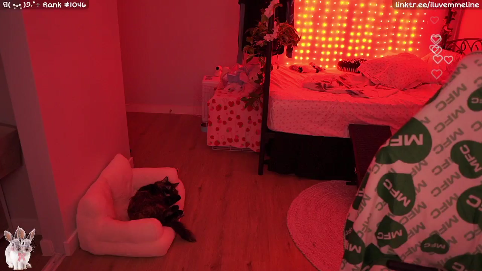 Gallery image thumbnail from EMMEL1NE's myfreecams stream on, 10/10/2024, 02:59 image 20 of 20