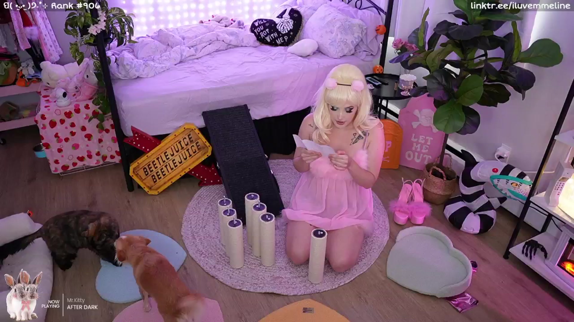 Gallery image thumbnail from EMMEL1NE's myfreecams stream on, 10/18/2024, 22:39 image 2 of 20