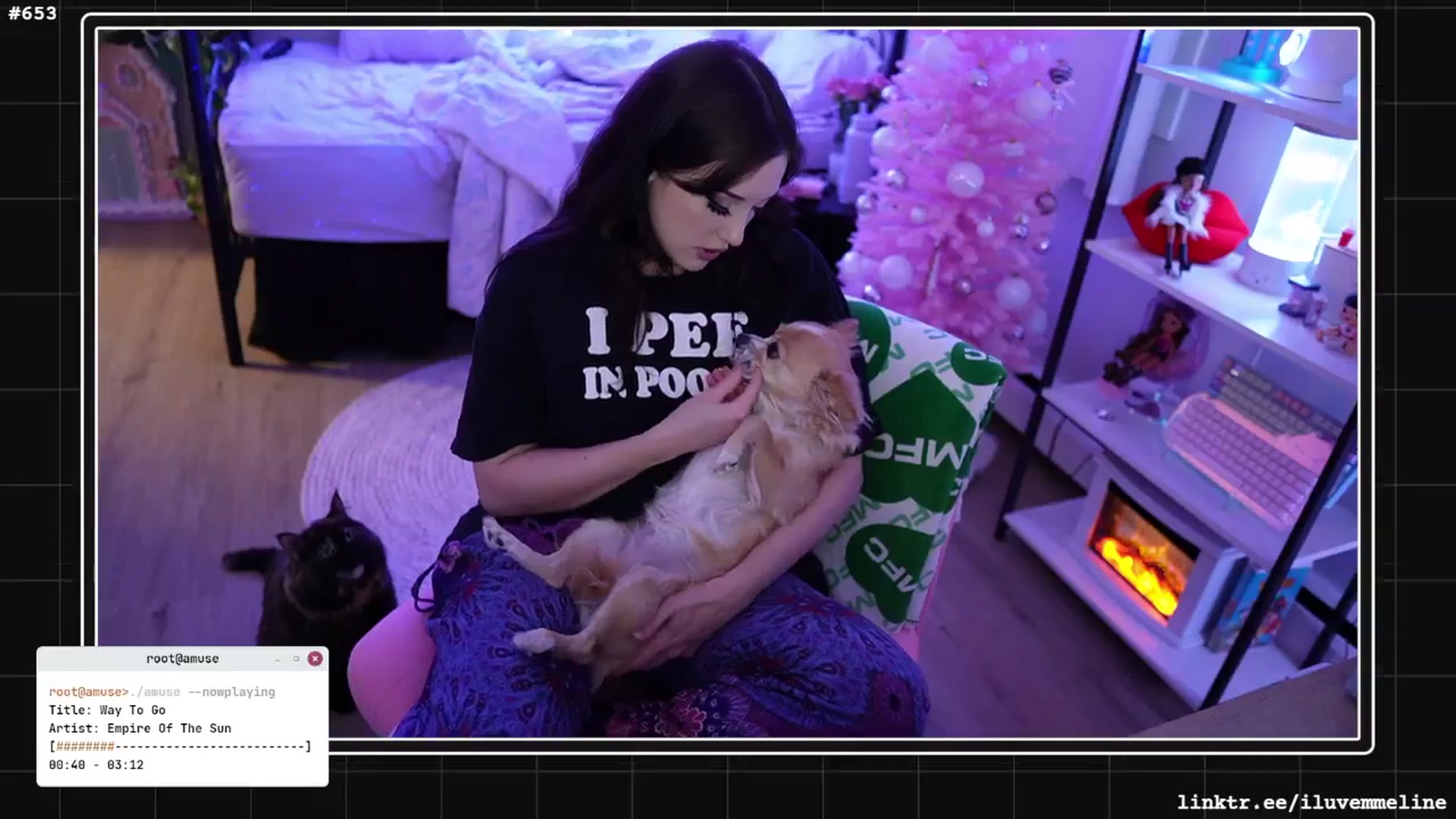 Gallery image thumbnail from EMMEL1NE's myfreecams stream on, 11/22/2024, 24:00 image 14 of 20