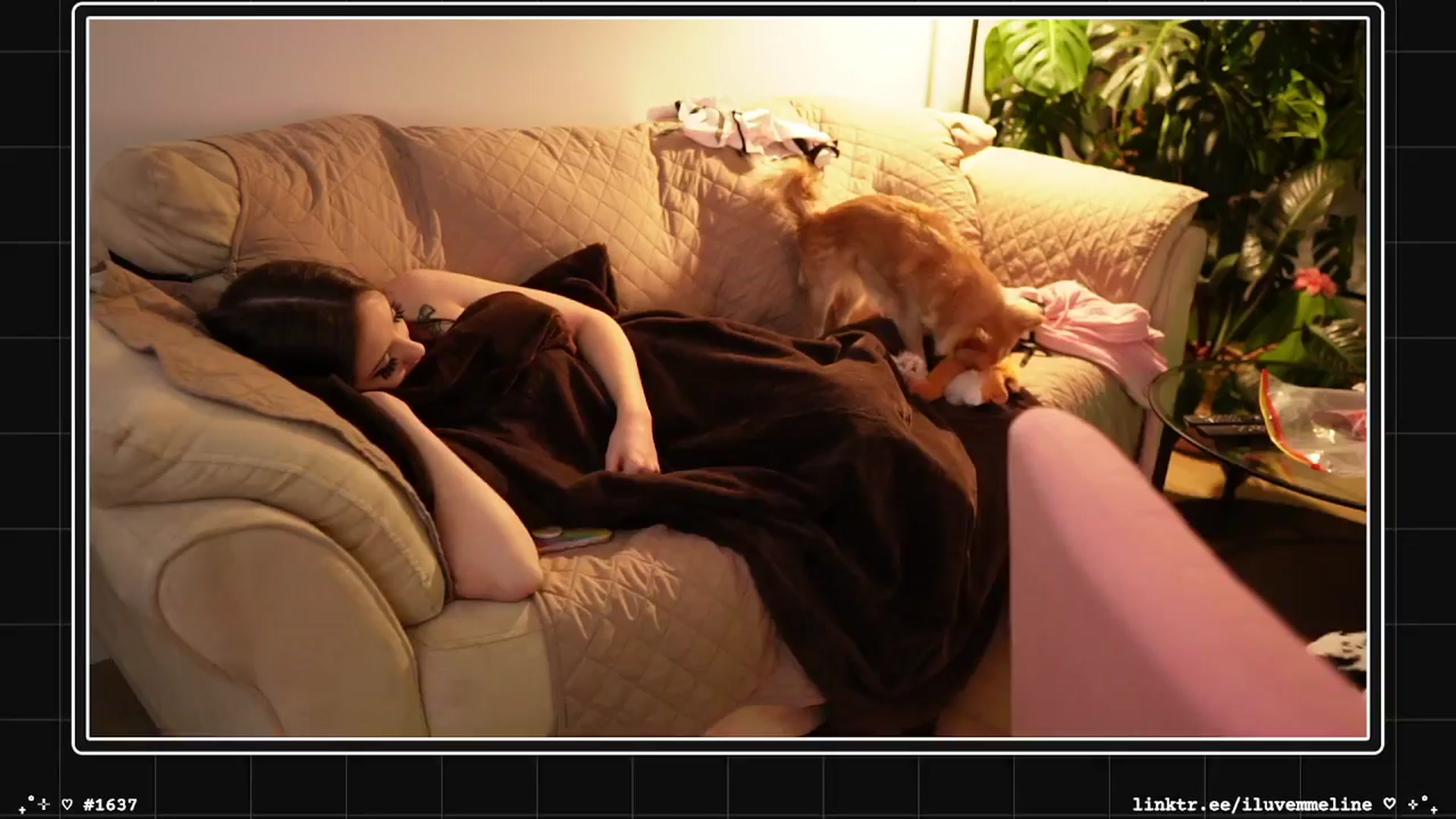 Gallery image thumbnail from EMMEL1NE's myfreecams stream on, 01/10/2025, 09:04 image 16 of 20