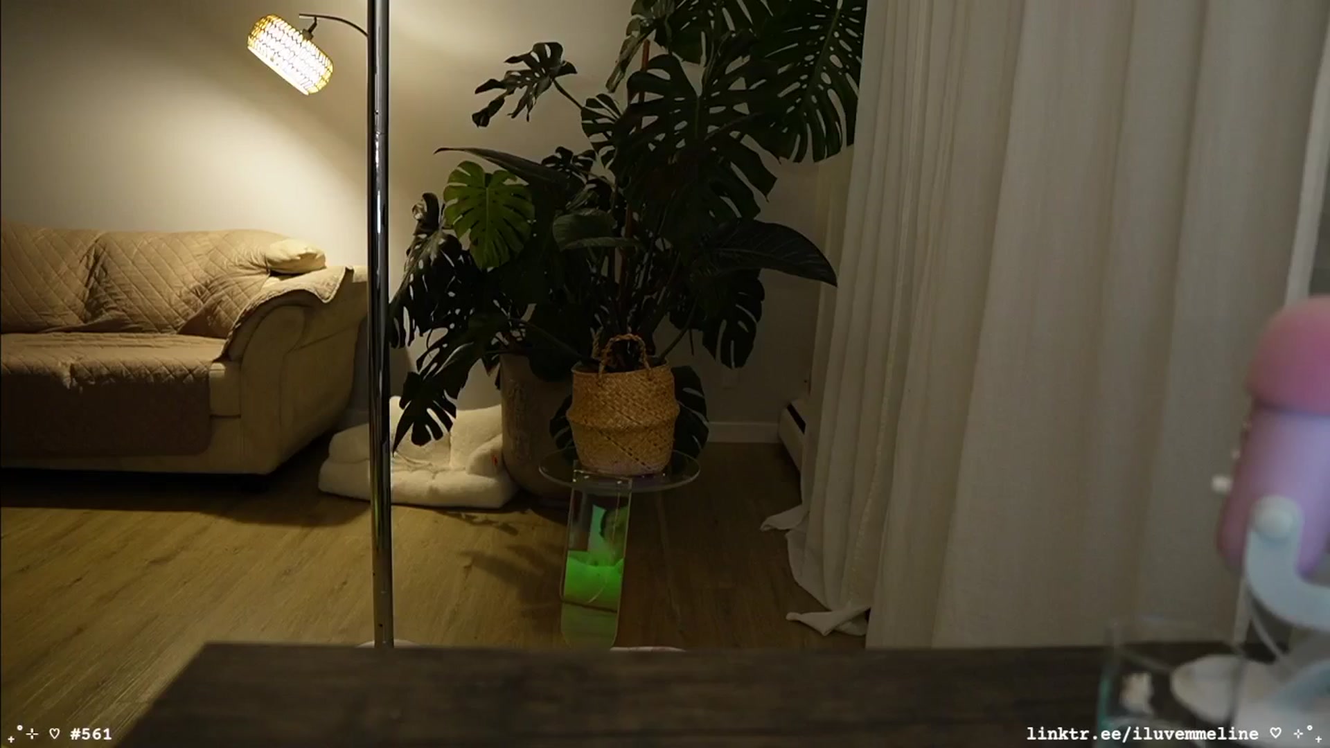 Gallery image thumbnail from EMMEL1NE's myfreecams stream on, 02/20/2025, 03:08 image 10 of 20