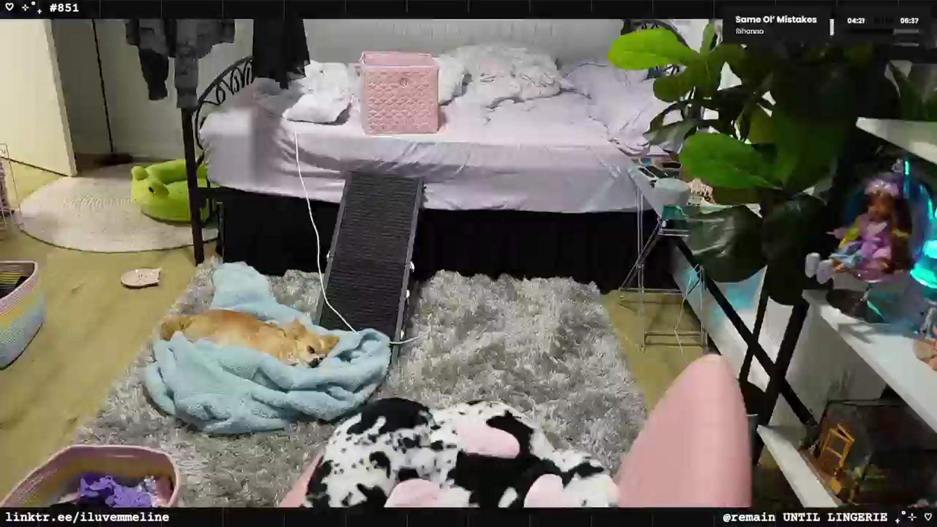 Gallery image thumbnail from EMMEL1NE's myfreecams stream on, 03/11/2025, 03:50 image 4 of 20