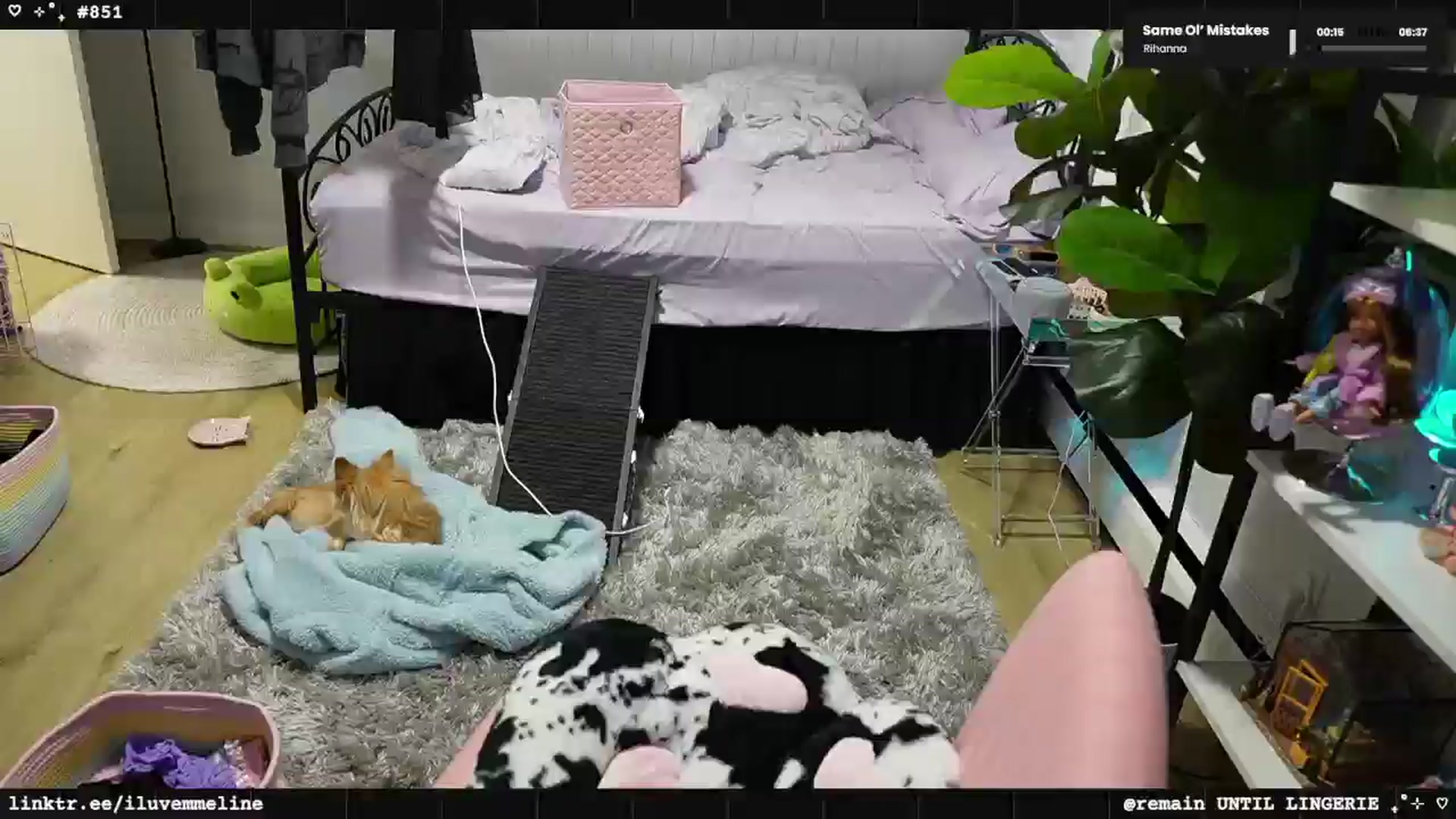 Gallery image thumbnail from EMMEL1NE's myfreecams stream on, 03/11/2025, 03:50 image 3 of 20