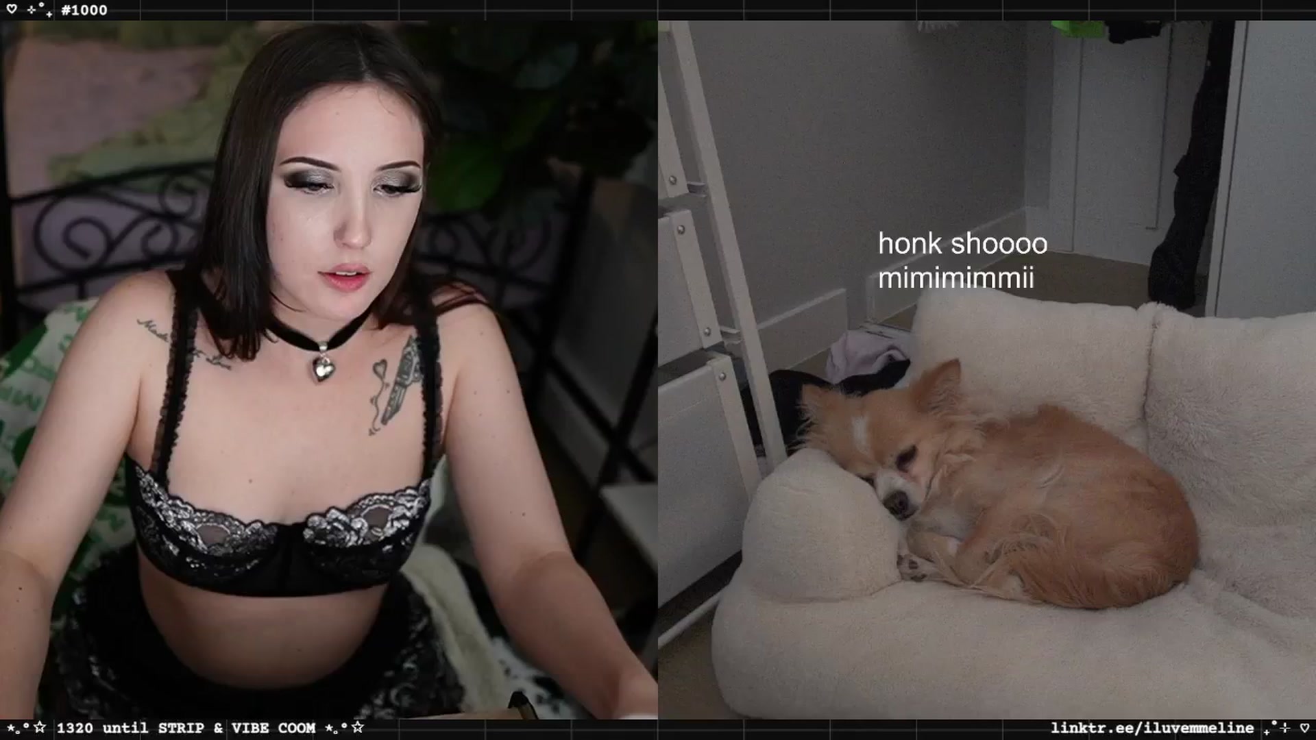 Gallery image thumbnail from EMMEL1NE's myfreecams stream on, 04/24/2025, 06:26 image 16 of 20