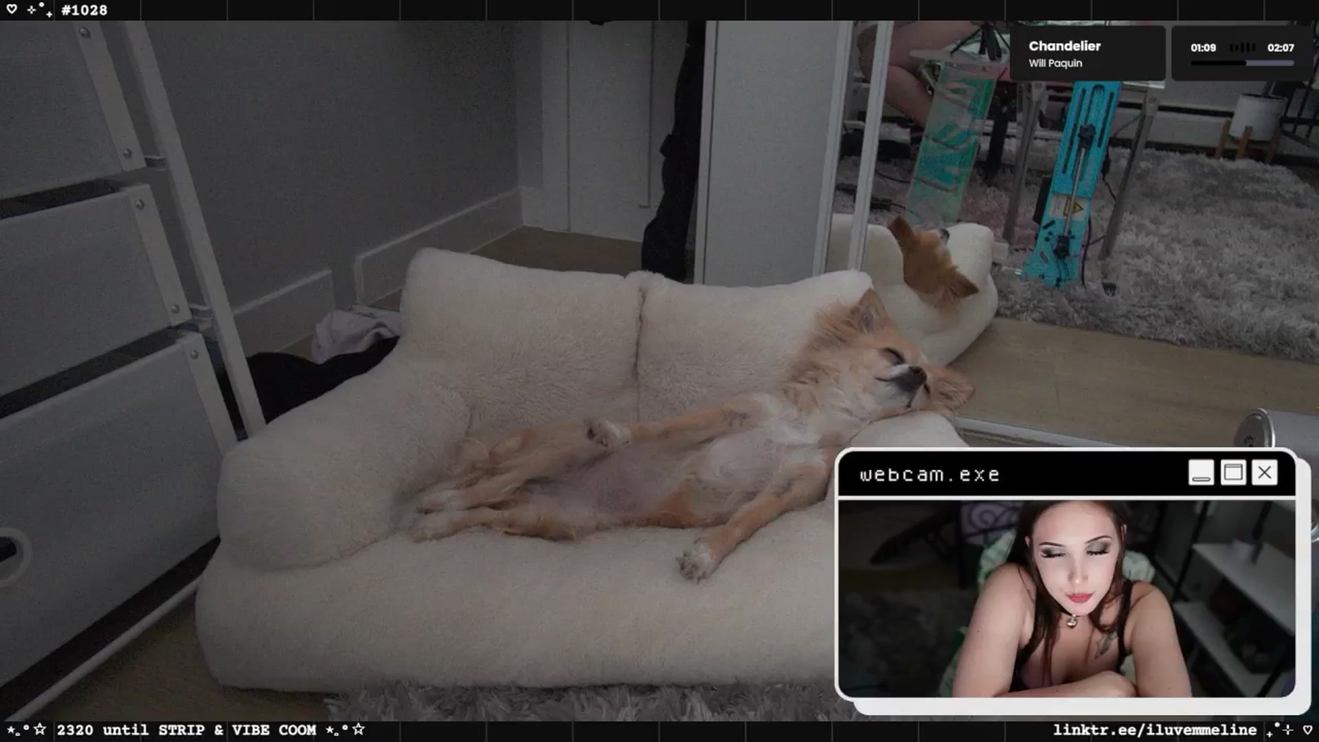 Gallery image thumbnail from EMMEL1NE's myfreecams stream on, 04/24/2025, 06:26 image 1 of 20