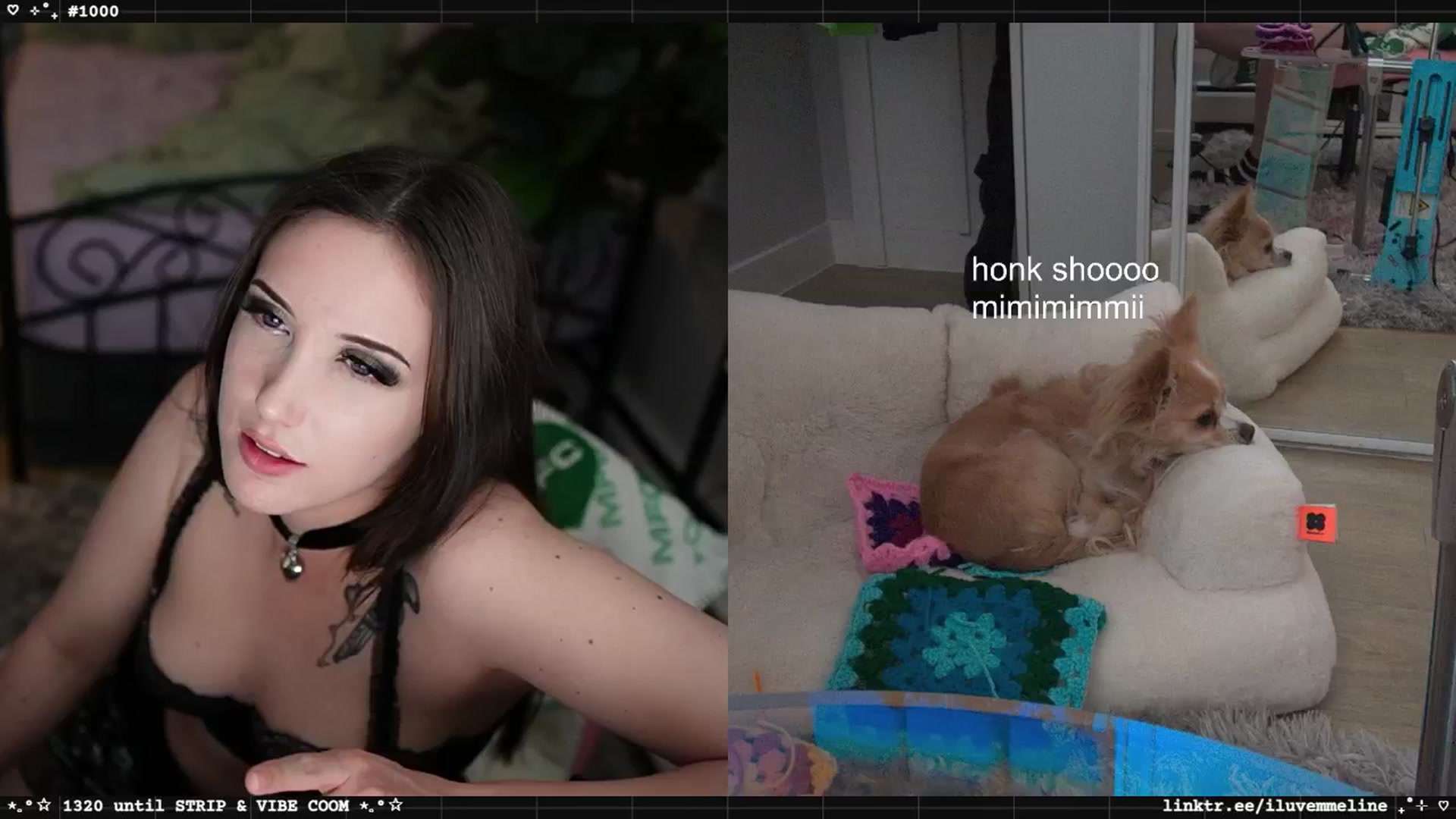 Gallery image thumbnail from EMMEL1NE's myfreecams stream on, 04/24/2025, 06:26 image 20 of 20