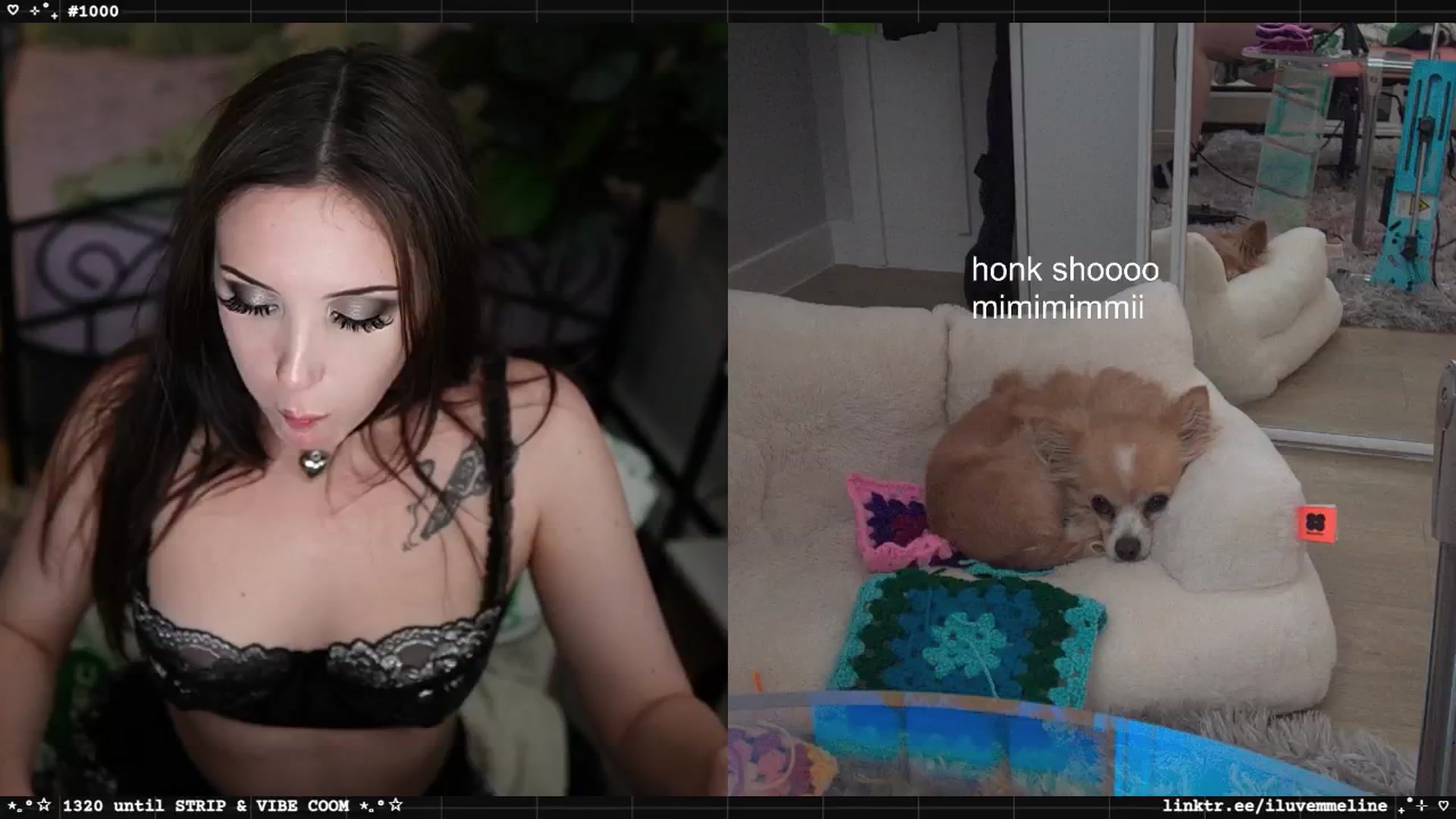 Gallery image thumbnail from EMMEL1NE's myfreecams stream on, 04/24/2025, 06:26 image 19 of 20