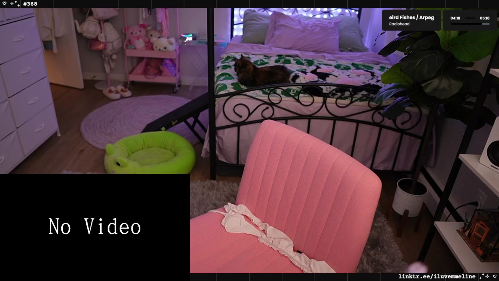 Gallery image thumbnail from EMMEL1NE's myfreecams stream on, 05/11/2025, 09:00 image 9 of 20
