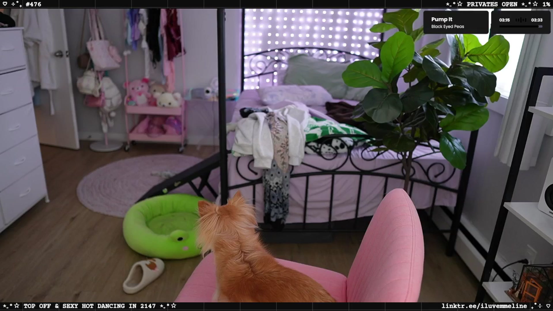 Gallery image thumbnail from EMMEL1NE's myfreecams stream on, 05/17/2025, 02:24 image 4 of 20