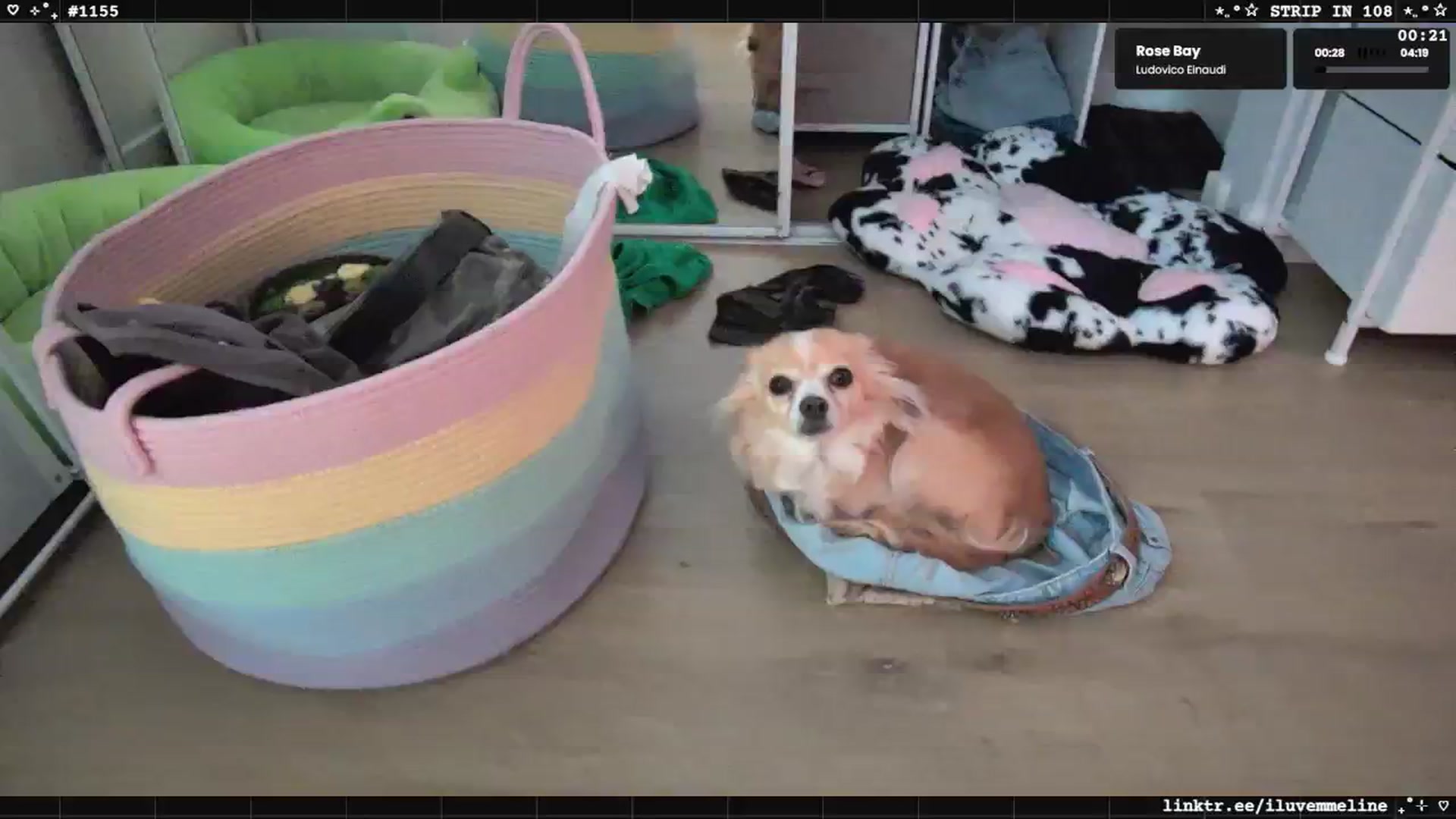 Gallery image thumbnail from EMMEL1NE's myfreecams stream on, 06/07/2025, 06:39 image 14 of 20