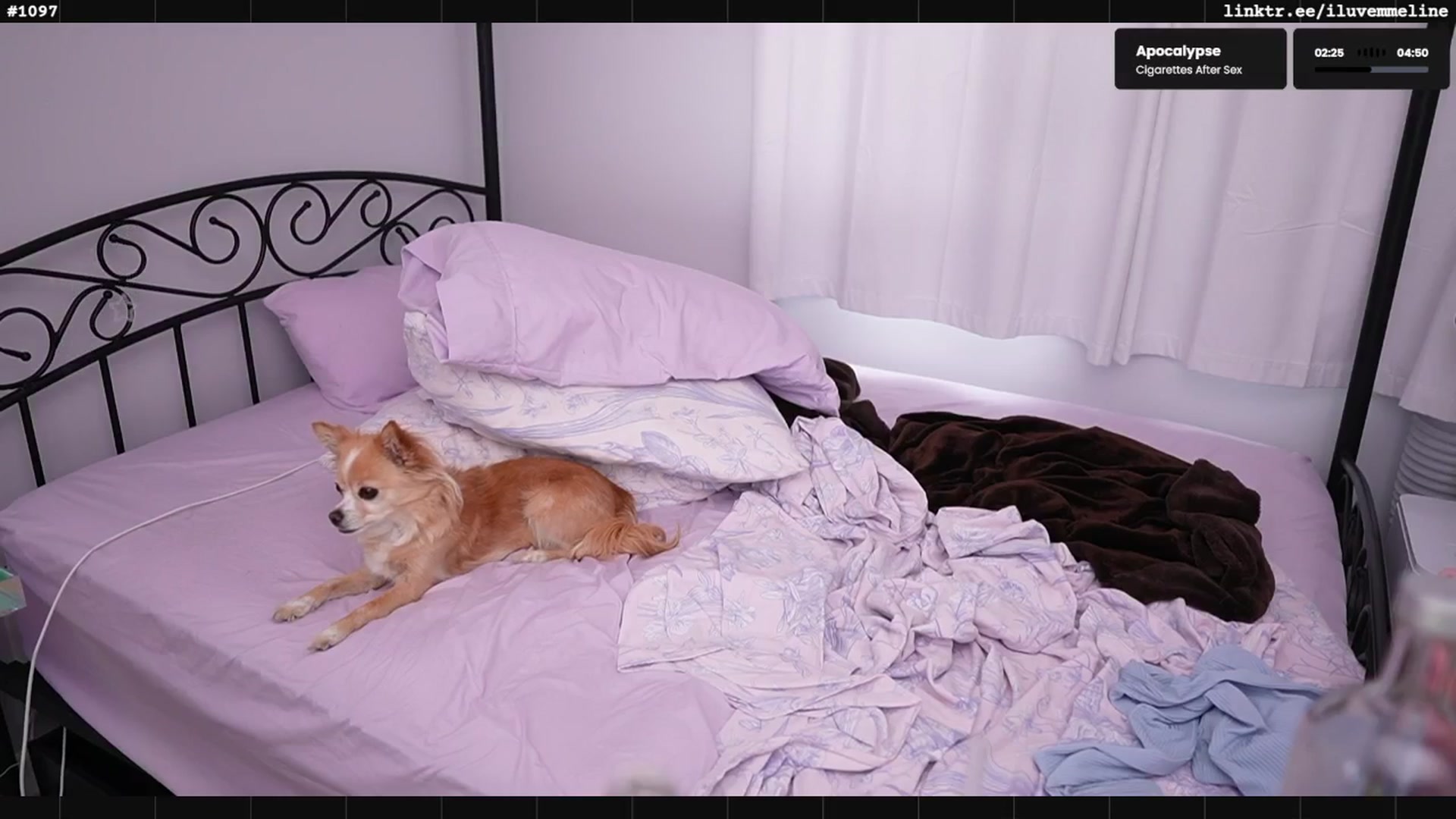 Gallery image thumbnail from EMMEL1NE's myfreecams stream on, 07/21/2025, 02:07 image 16 of 20