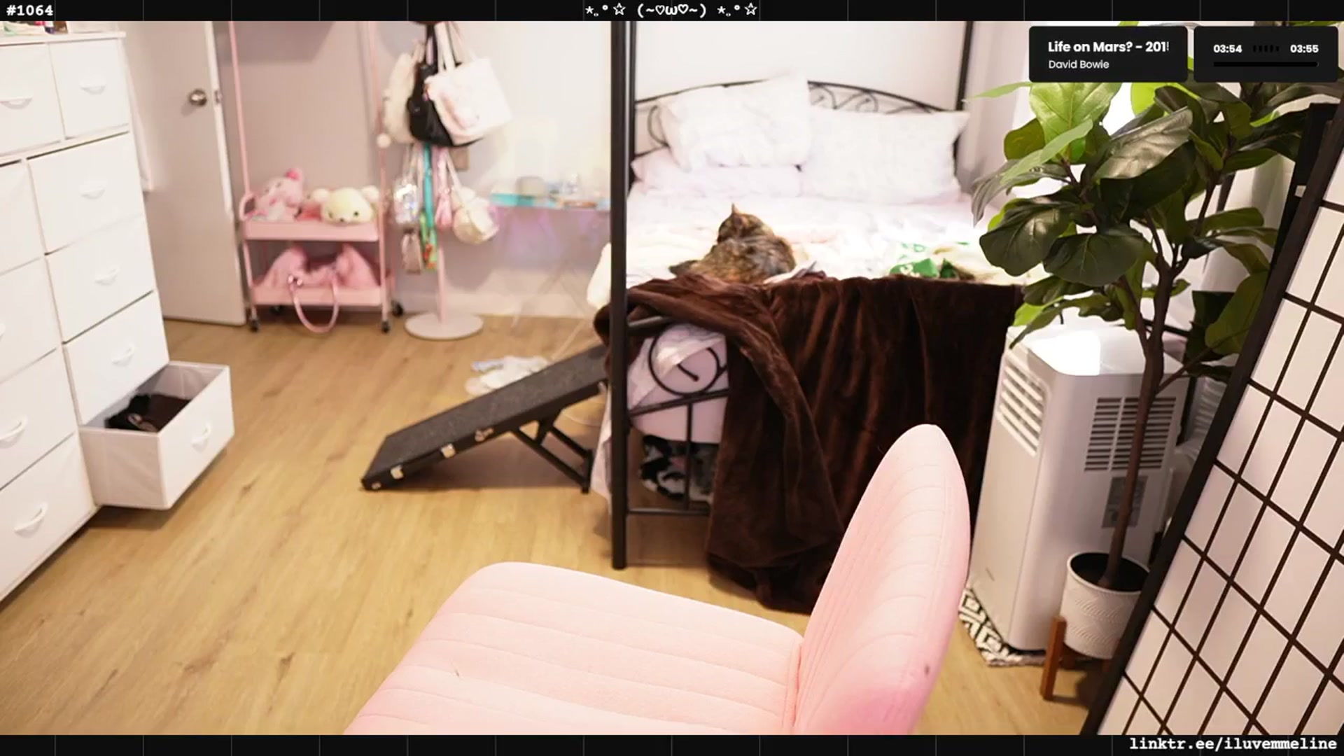 Gallery image thumbnail from EMMEL1NE's myfreecams stream on, 07/22/2025, 01:39 image 9 of 20