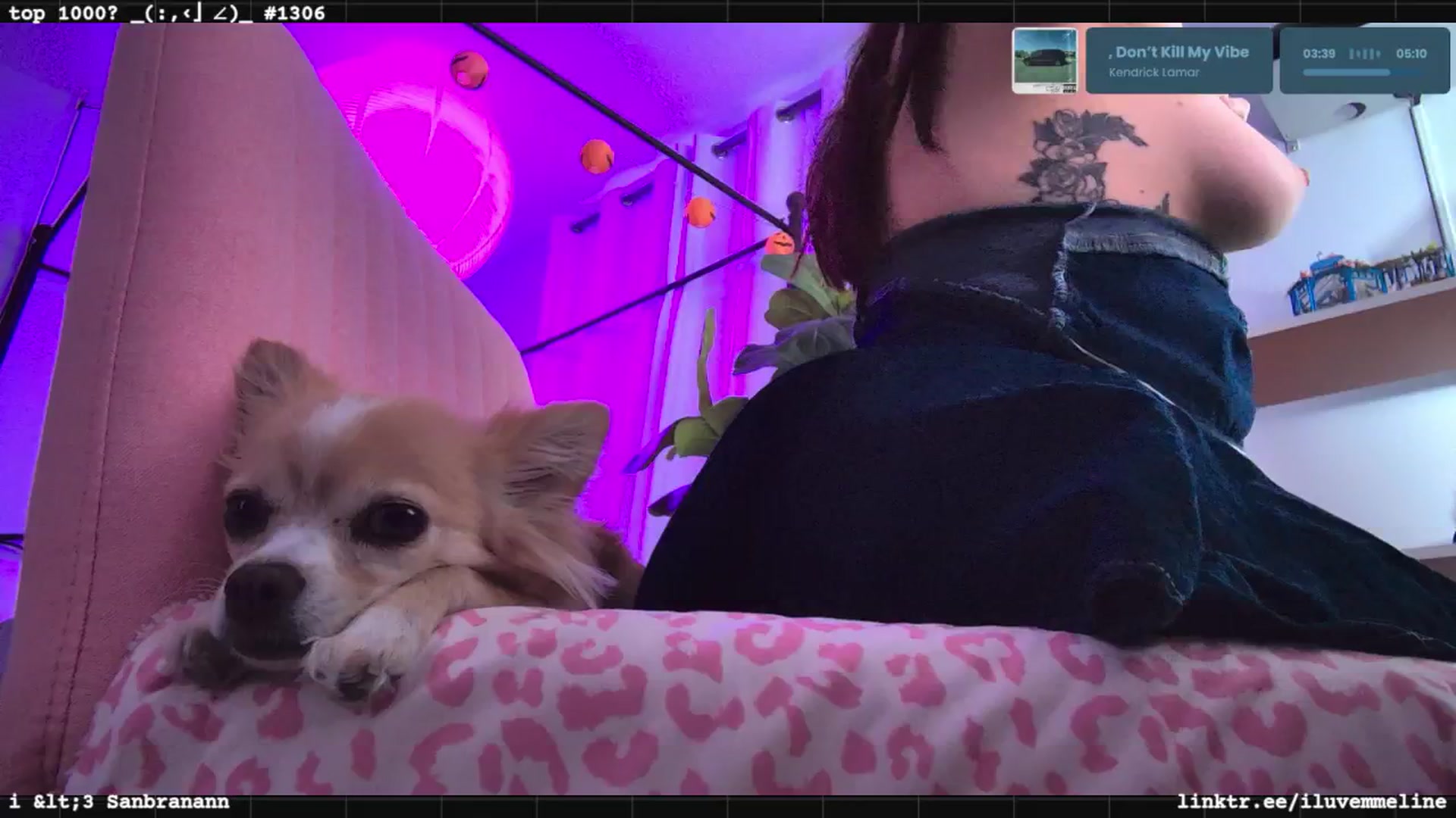 Gallery image thumbnail from EMMEL1NE's myfreecams stream on, 09/22/2025, 01:27 image 8 of 20