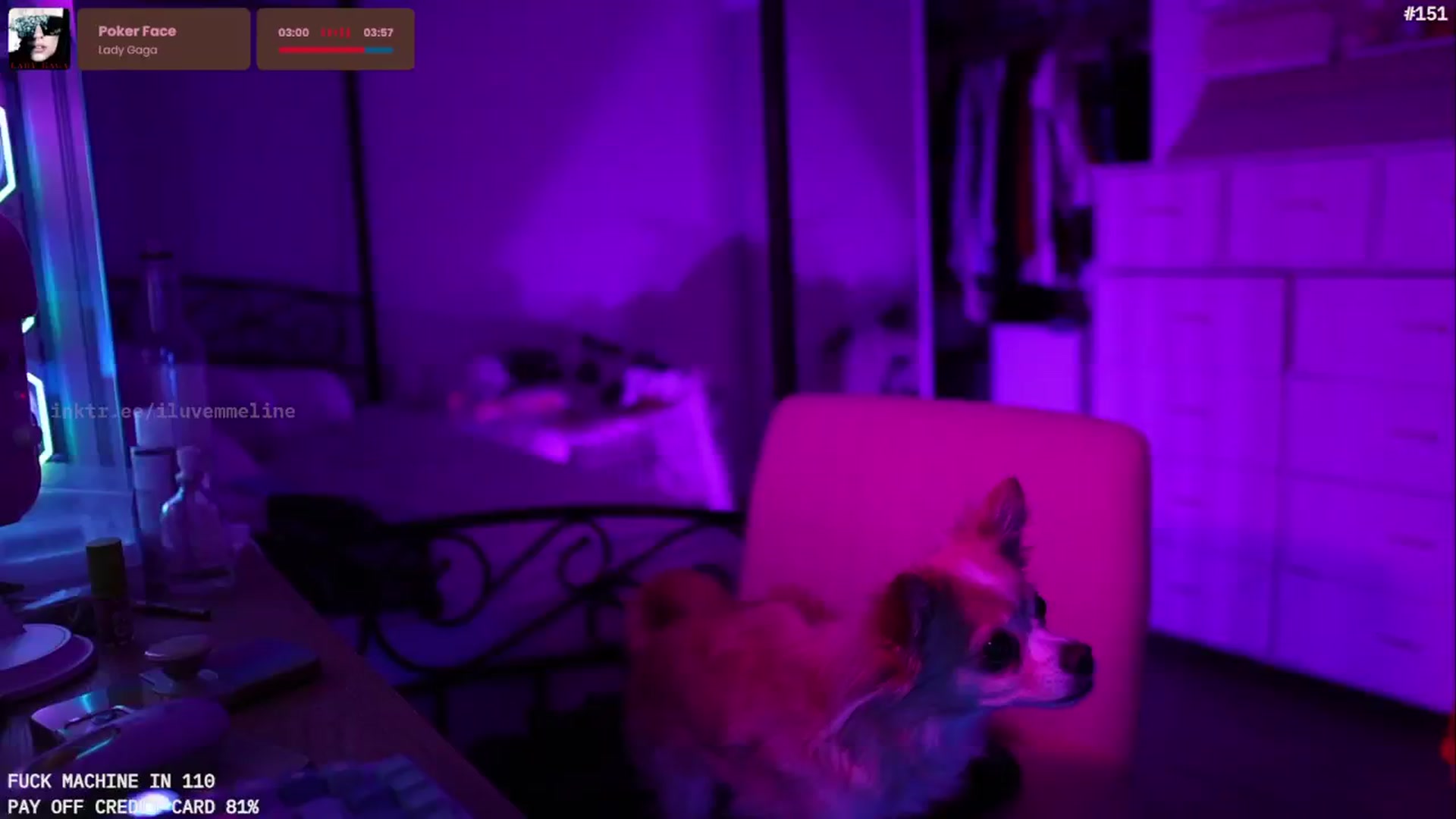 Gallery image thumbnail from EMMEL1NE's myfreecams stream on, 03/01/2026, 11:27 image 19 of 20