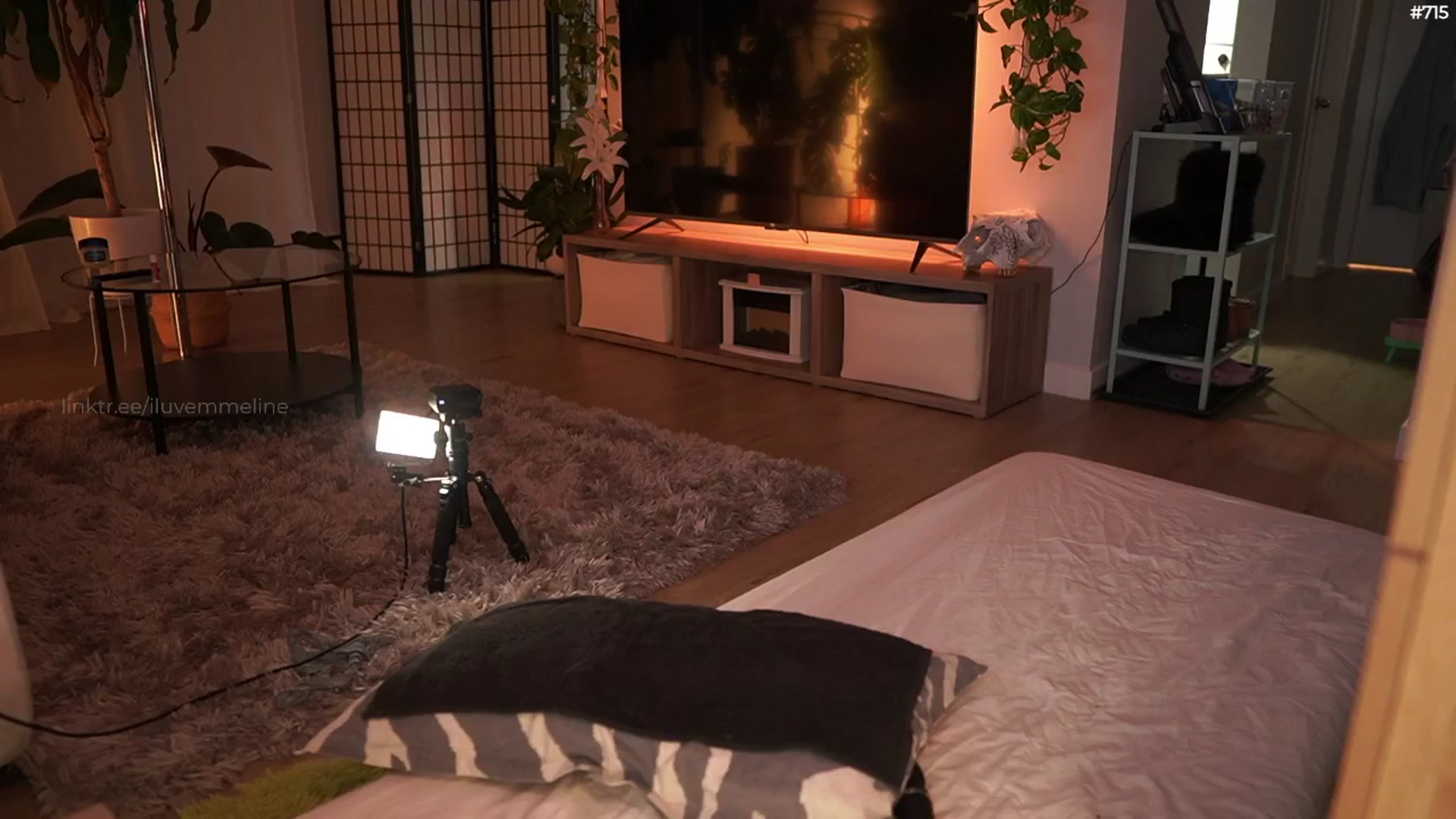 Gallery image thumbnail from EMMEL1NE's myfreecams stream on, 04/28/2026, 08:37 image 4 of 20