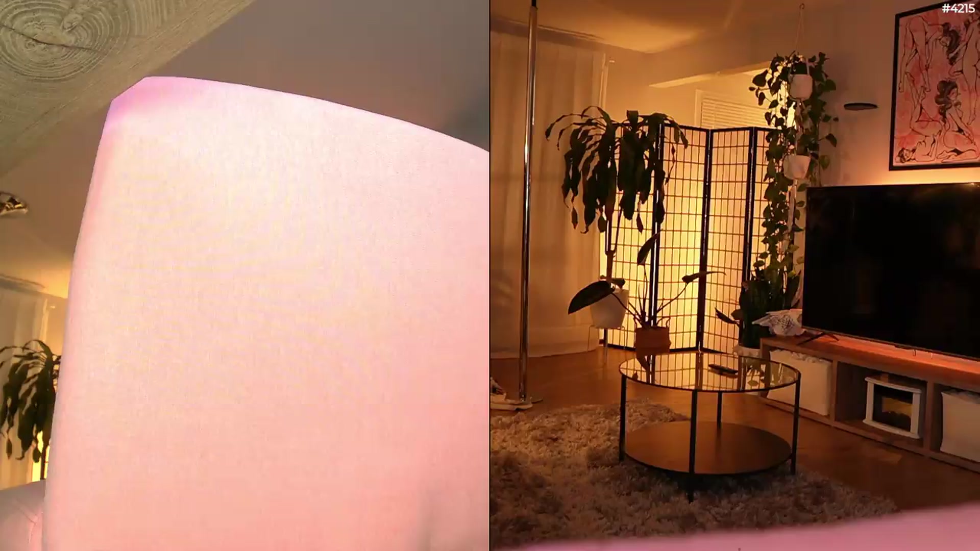 Gallery image thumbnail from EMMEL1NE's myfreecams stream on, 05/13/2026, 06:45 image 20 of 20