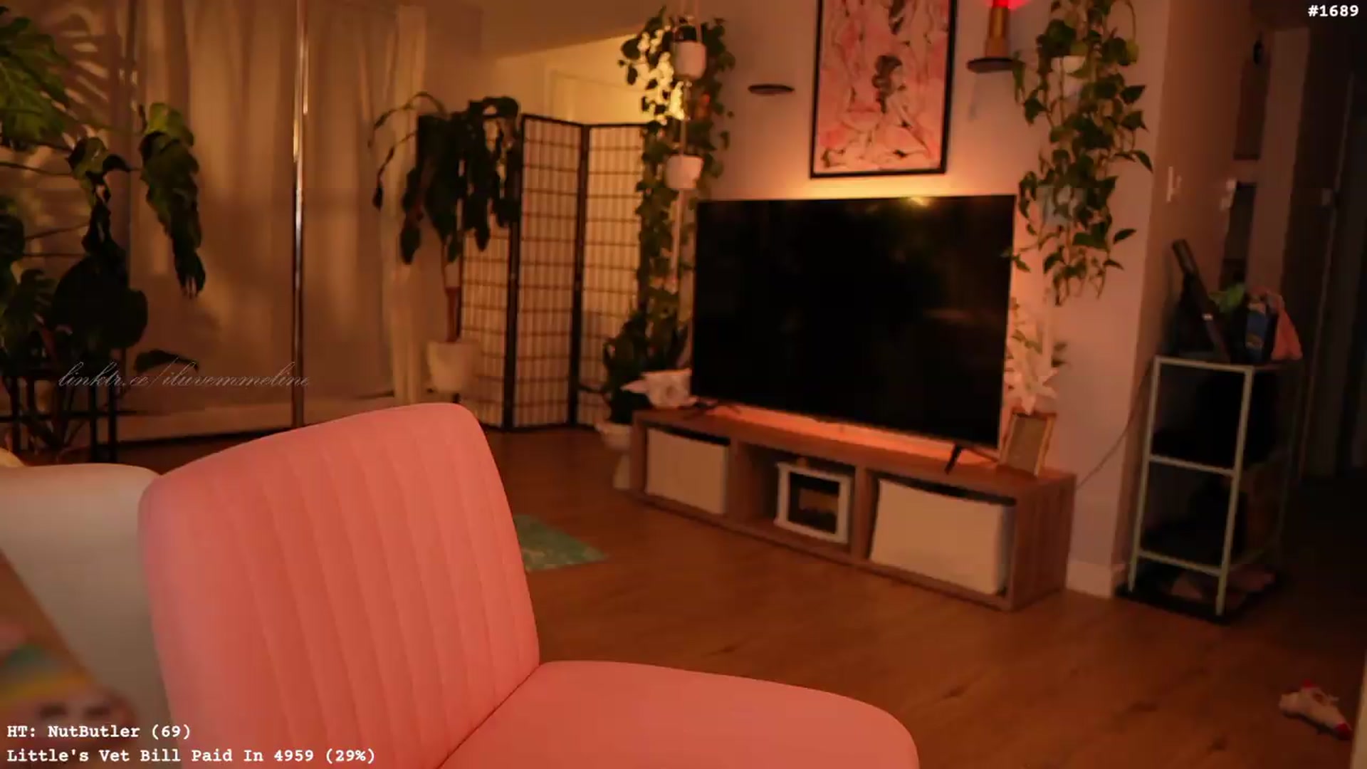 Gallery image thumbnail from EMMEL1NE's myfreecams stream on, 05/26/2026, 10:10 image 8 of 20