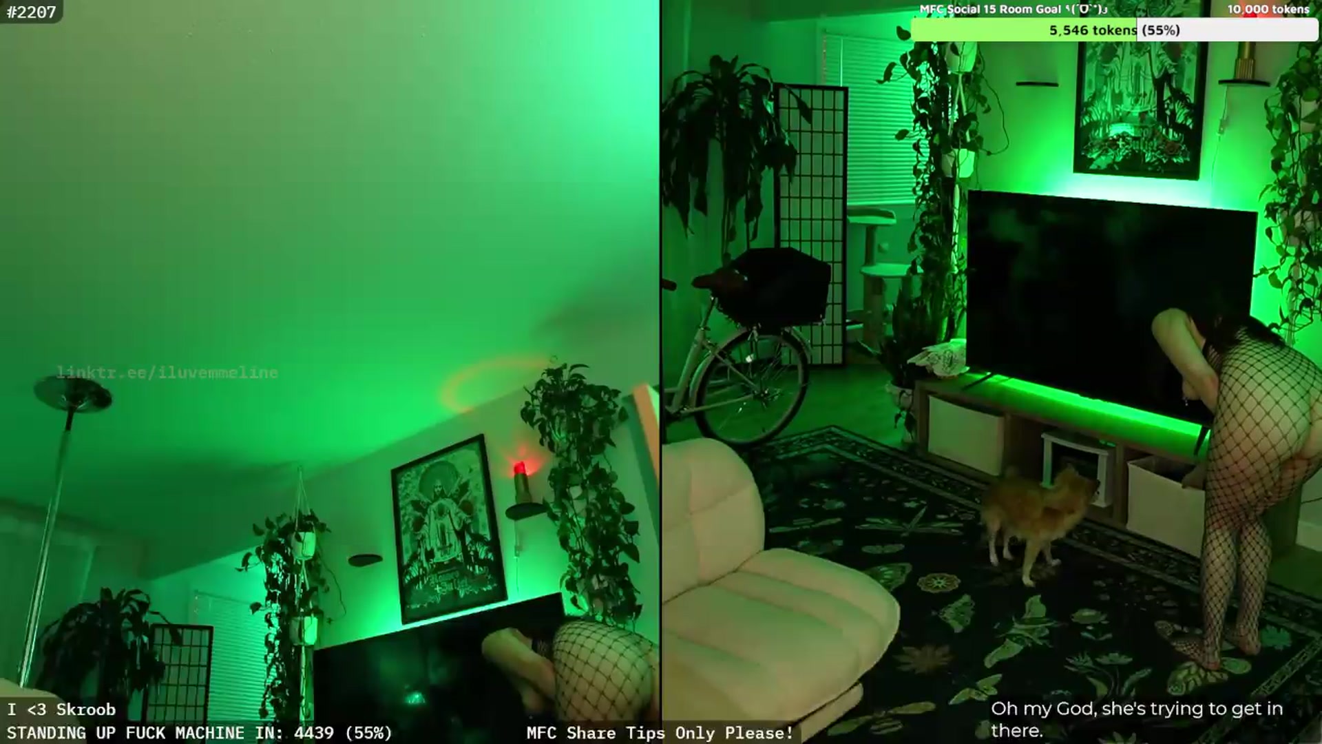 Gallery image thumbnail from EMMEL1NE's myfreecams stream on, 08/10/2026, 09:15 image 14 of 20