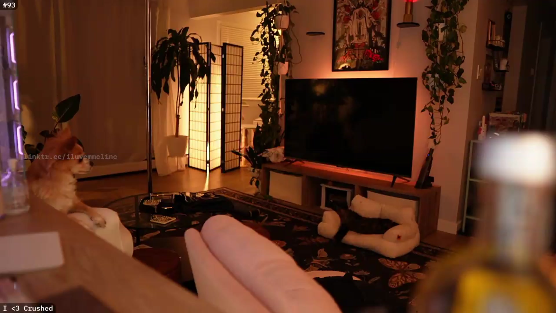 Gallery image thumbnail from EMMEL1NE's myfreecams stream on, 09/01/2026, 07:53 image 12 of 20