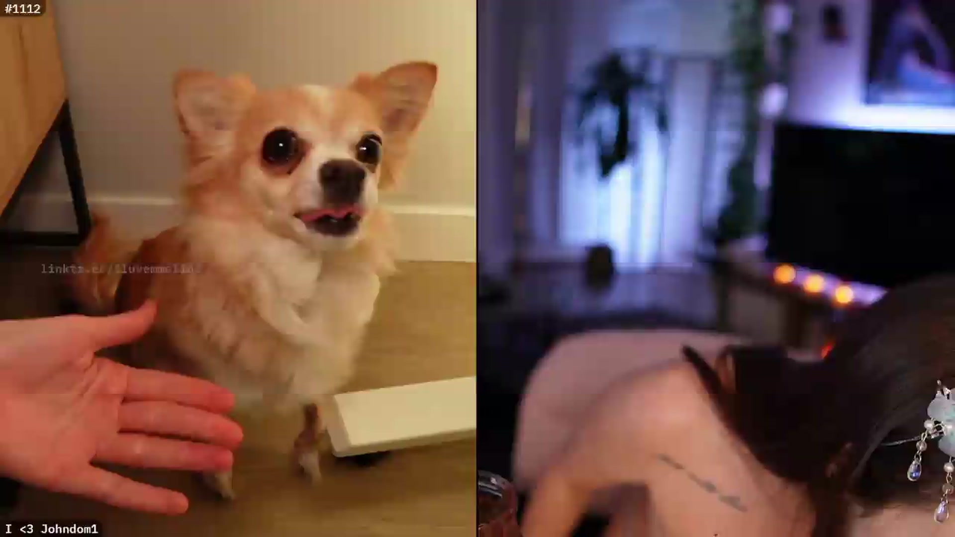 Gallery image thumbnail from EMMEL1NE's myfreecams stream on, 09/11/2026, 08:40 image 4 of 20