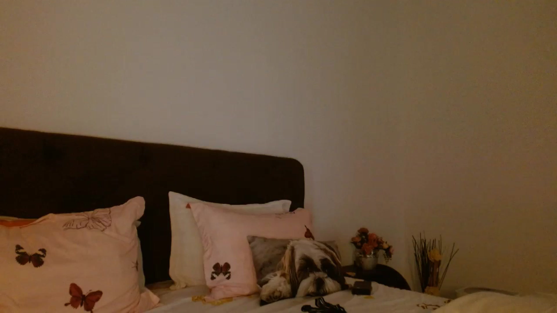 Gallery image thumbnail from EROS____'s myfreecams stream on, 09/05/2025, 14:32 image 19 of 20